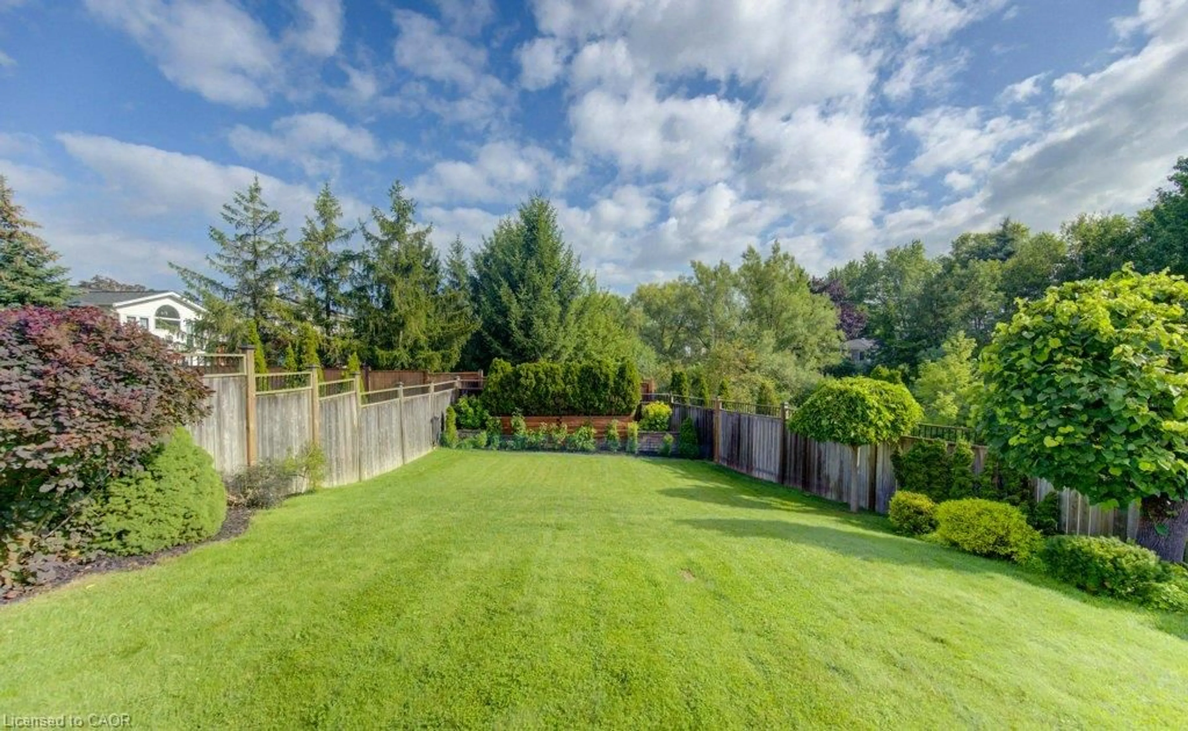 A pic from outside/outdoor area/front of a property/back of a property/a pic from drone, forest/trees view for 238 Mcgarry Dr, Kitchener Ontario N2N 1H9