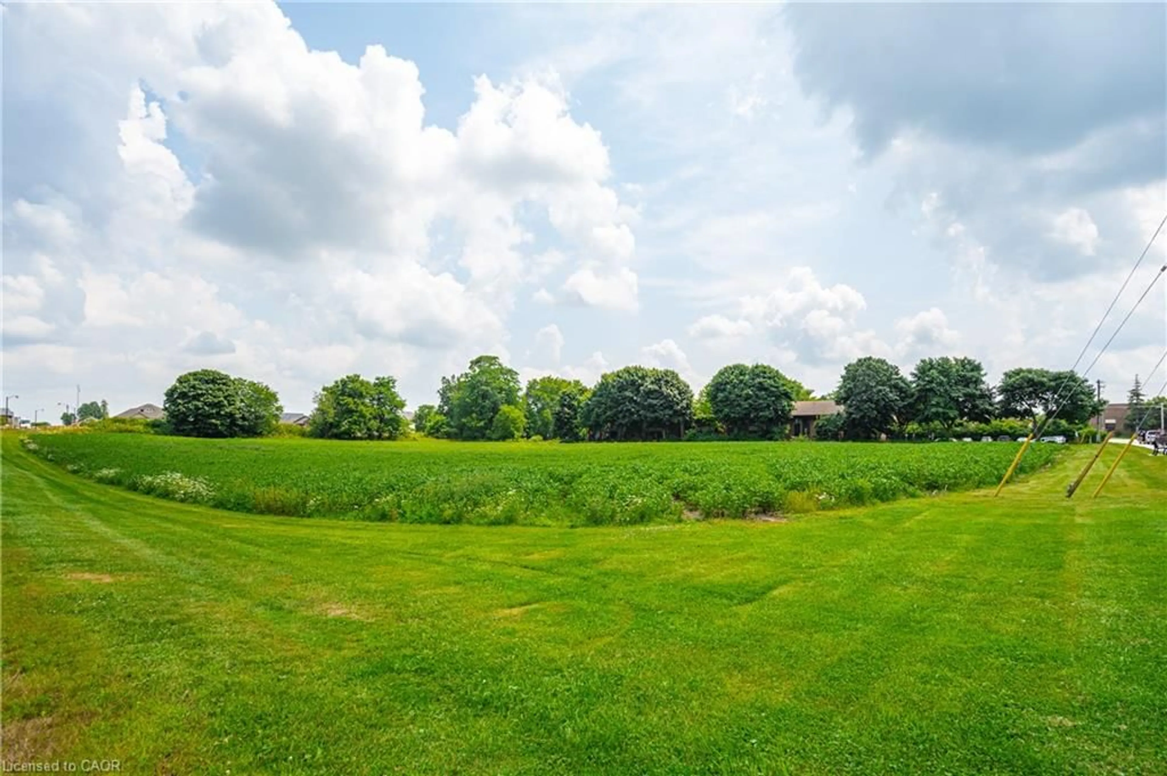 A pic from outside/outdoor area/front of a property/back of a property/a pic from drone, forest/trees view for 20 Lot Conc #1, Palmerston Ontario N0G 2P0