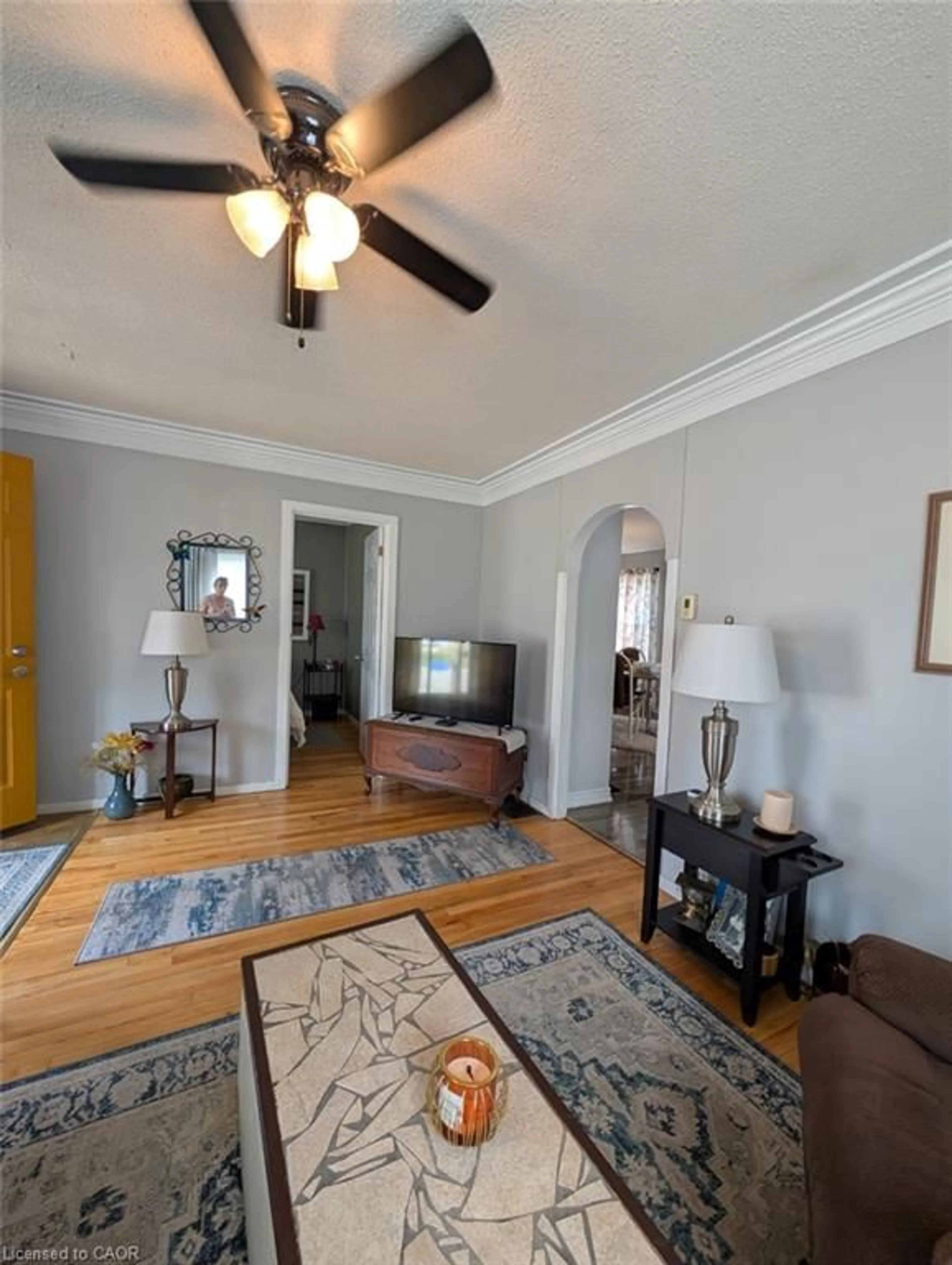 Living room with furniture, unknown for 62 Ninth Ave, Brantford Ontario N3S 1E4