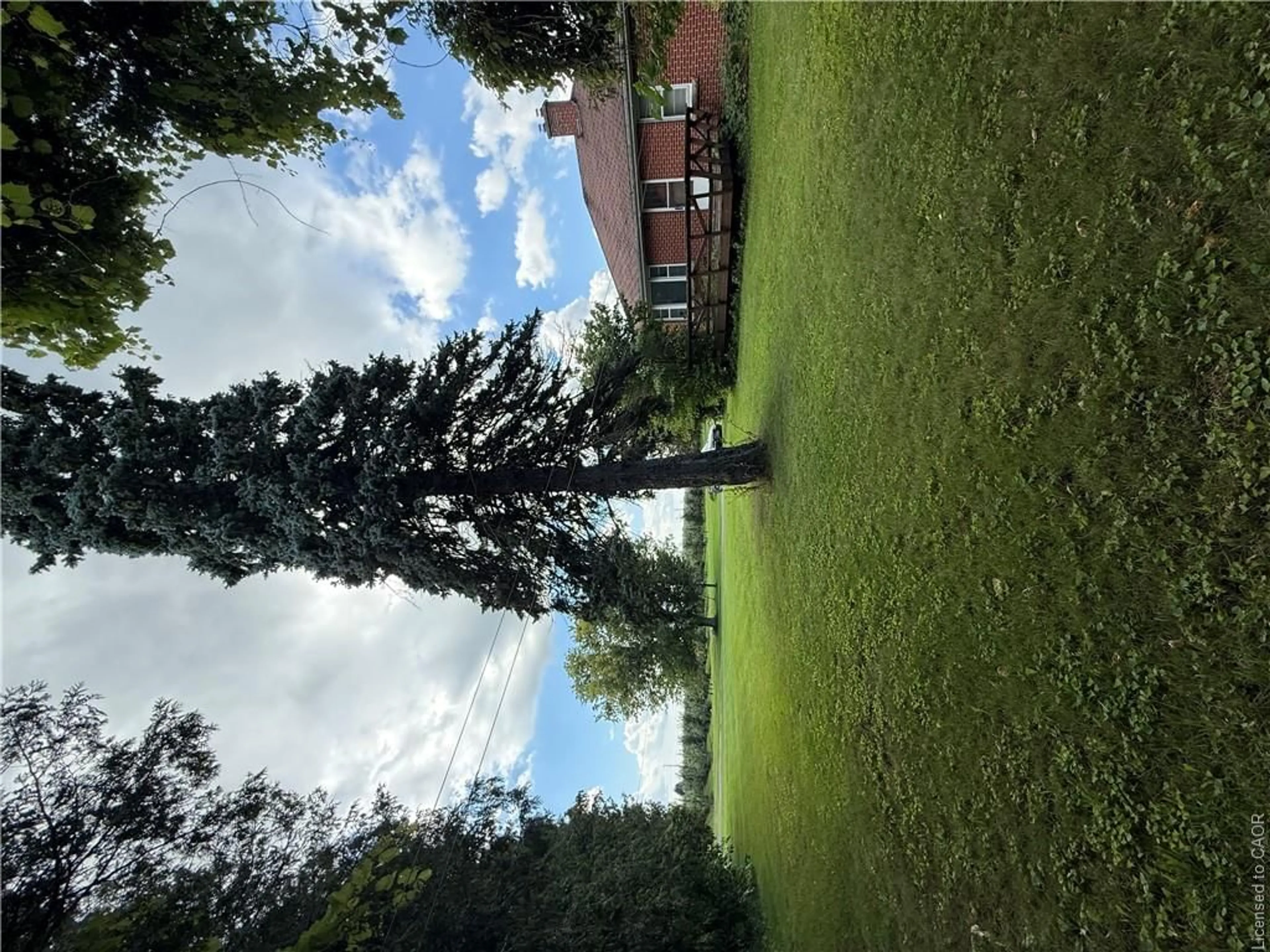 A pic from outside/outdoor area/front of a property/back of a property/a pic from drone, forest/trees view for 393 Culver Rd, Simcoe Ontario N3Y 4K3