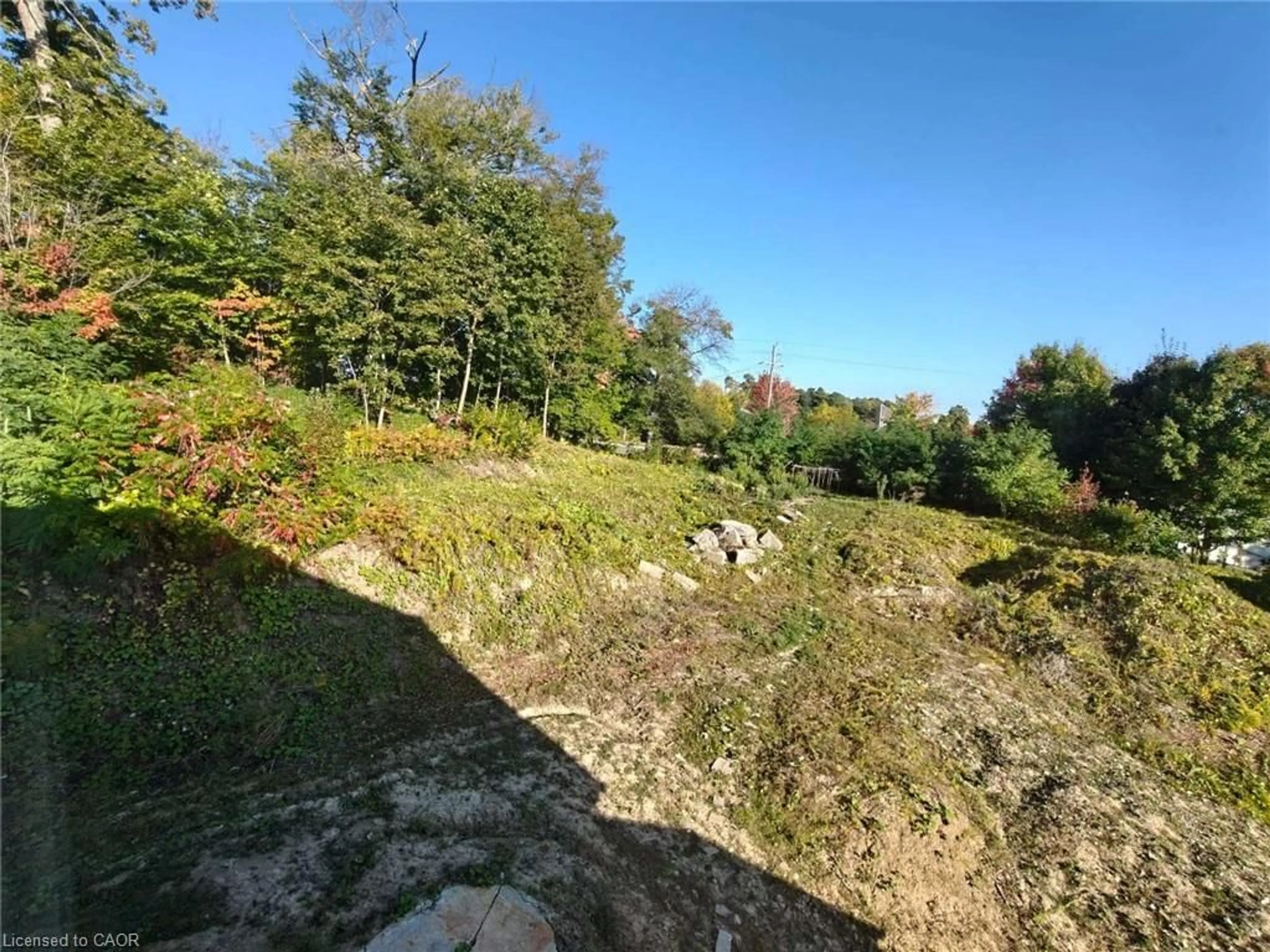 A pic from outside/outdoor area/front of a property/back of a property/a pic from drone, forest/trees view for 526 Heather Hill Pl, Waterloo Ontario N2T 1H7