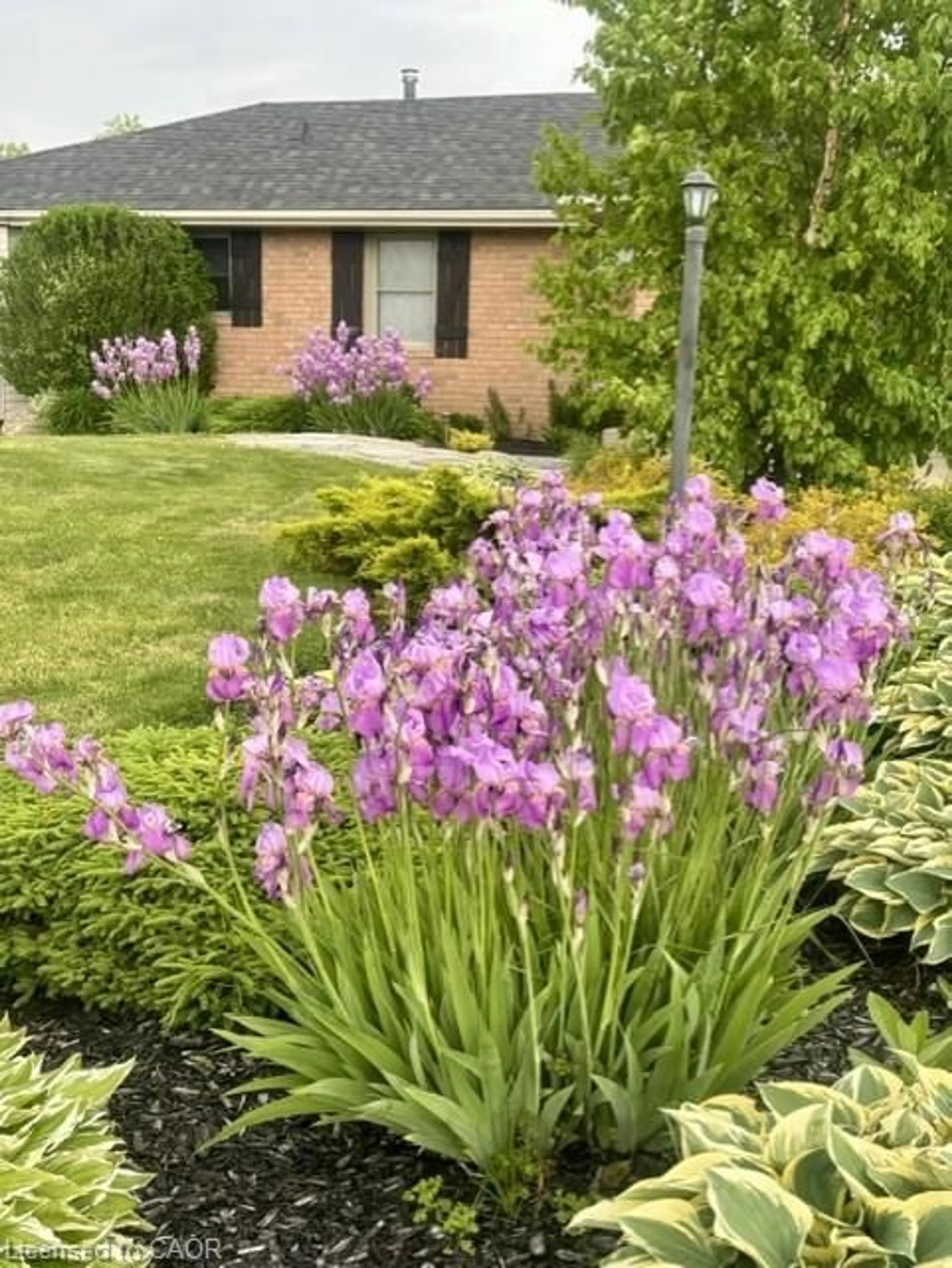 Home with vinyl exterior material, street for 4276 Westbrook Rd, Binbrook Ontario L0R 1C0