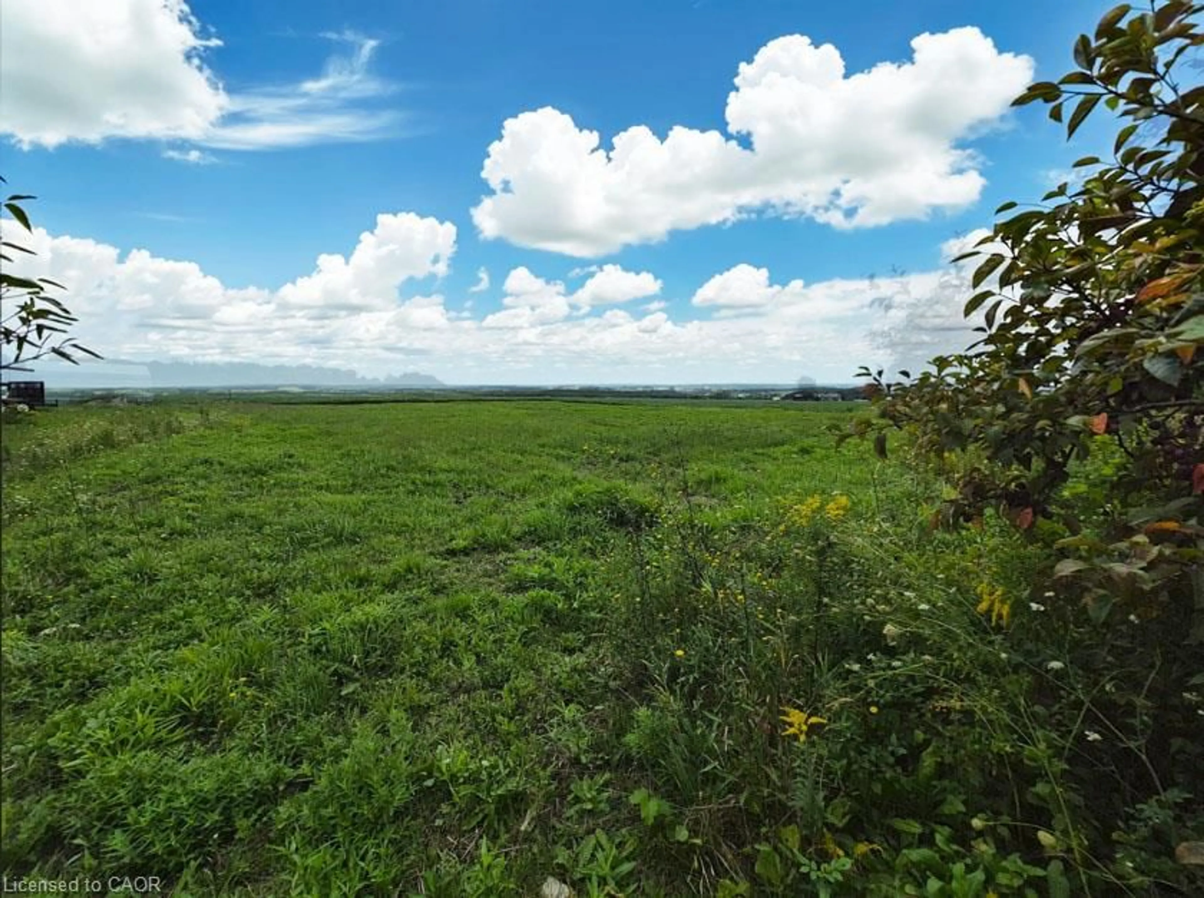 A pic from outside/outdoor area/front of a property/back of a property/a pic from drone, forest/trees view for 1609 North Shore Dr, Stromness Ontario N0A 1K0