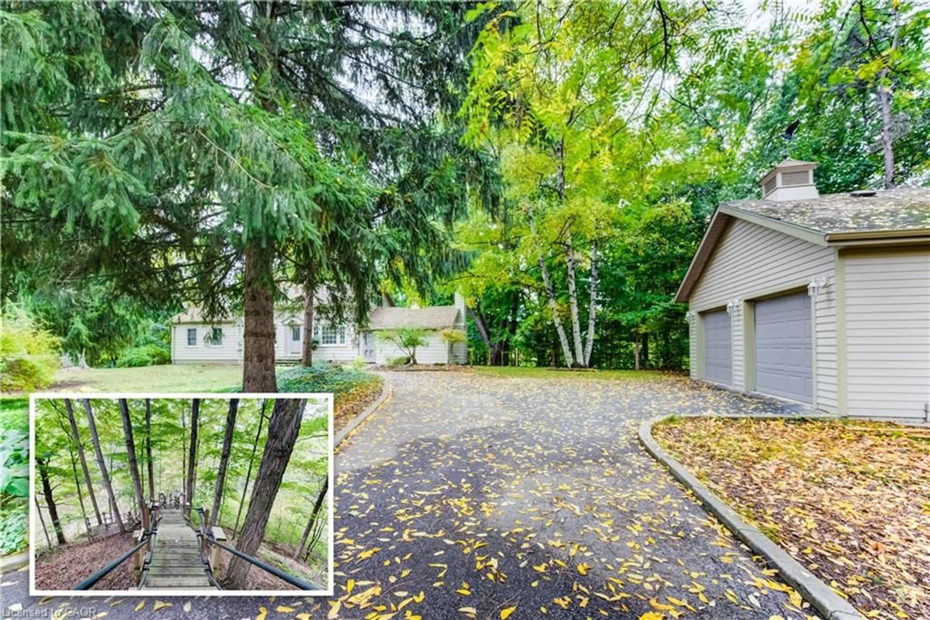 A pic from outside/outdoor area/front of a property/back of a property/a pic from drone, forest/trees view for 177 Piper St, Ayr Ontario N0B 1E0