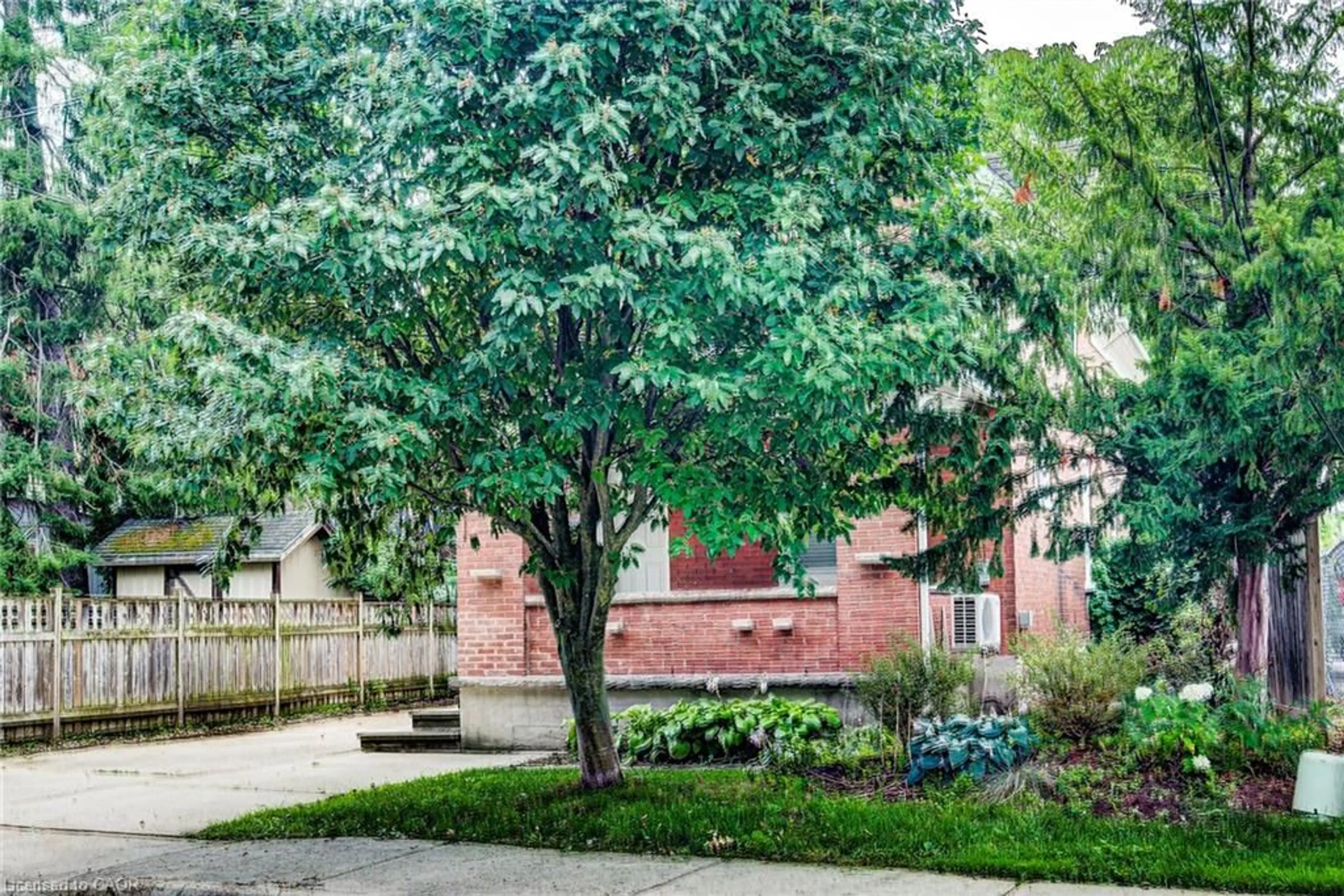Patio, street for 81 Willow St, Waterloo Ontario N2J 1W3