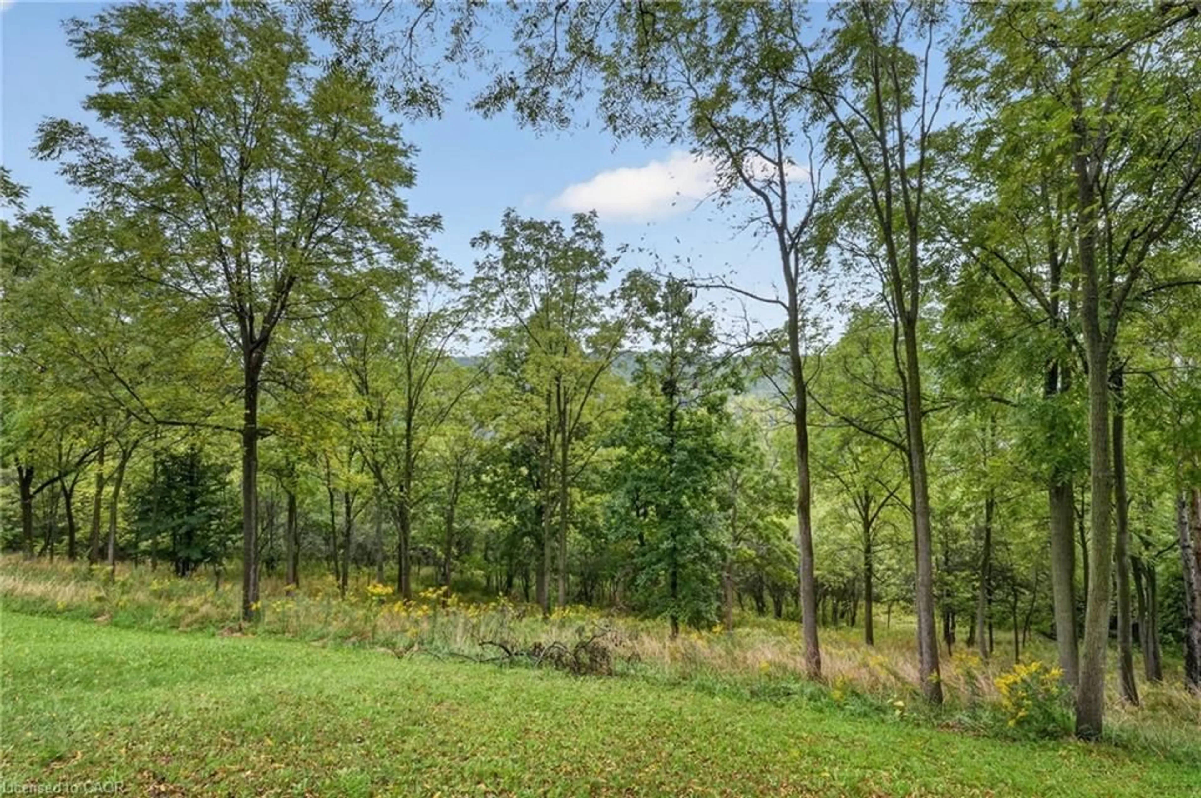 Patio, forest/trees view for 16 Elk St, St. Catharines Ontario L2S 1A2