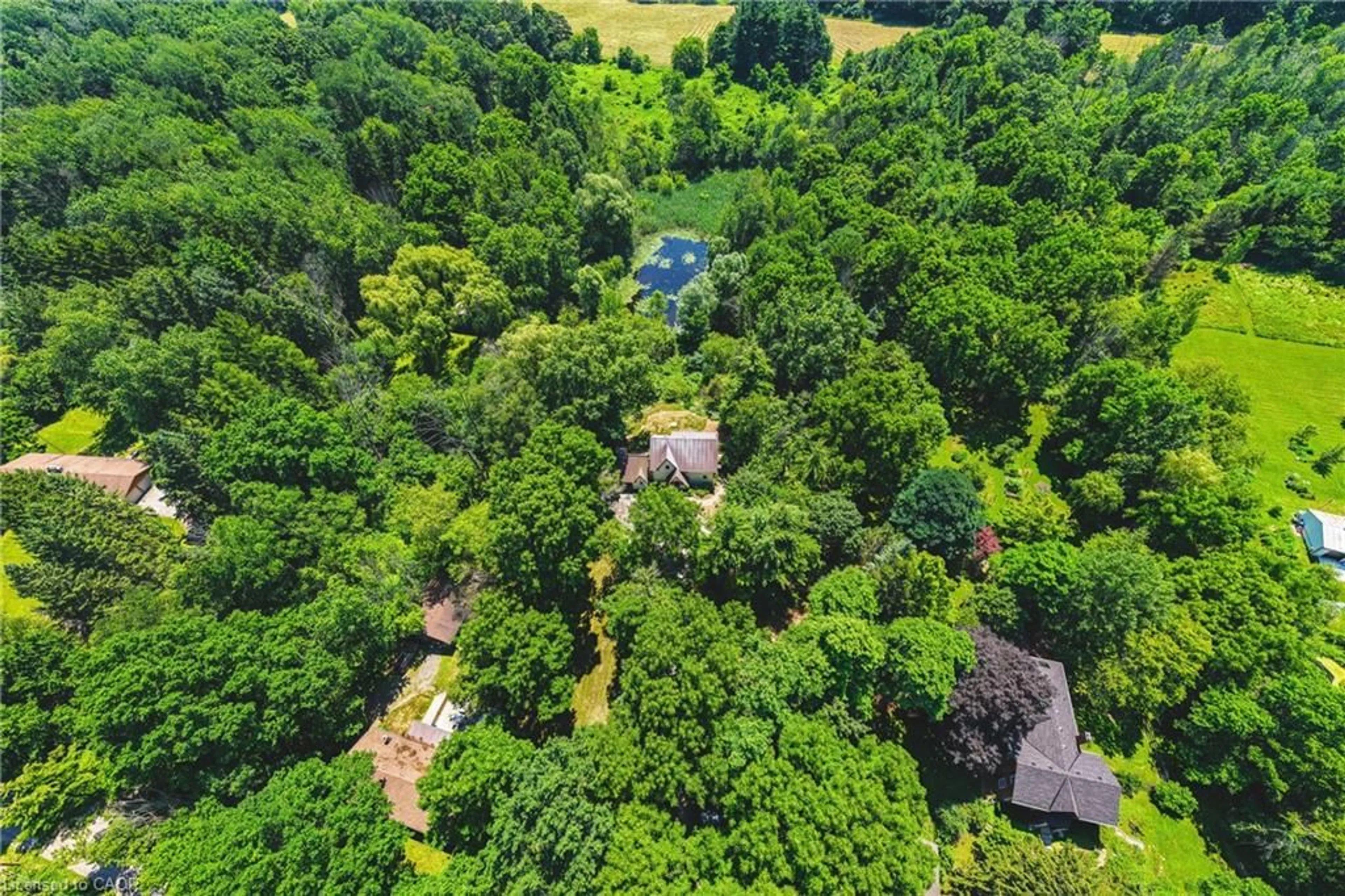A pic from outside/outdoor area/front of a property/back of a property/a pic from drone, forest/trees view for 1548 Mineral Springs Rd, Ancaster Ontario L9H 5E3