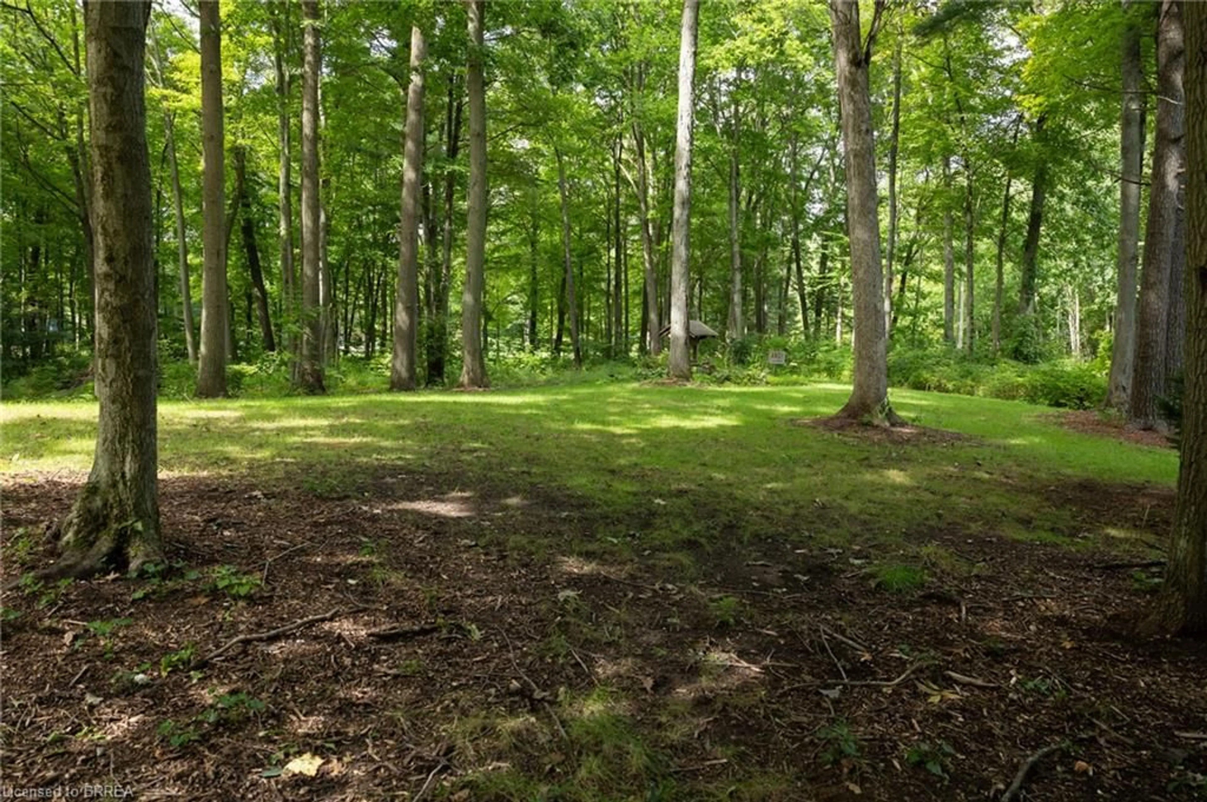 A pic from outside/outdoor area/front of a property/back of a property/a pic from drone, forest/trees view for 2605 Windham East Quarter Line Rd, Vanessa Ontario N0E 1V0