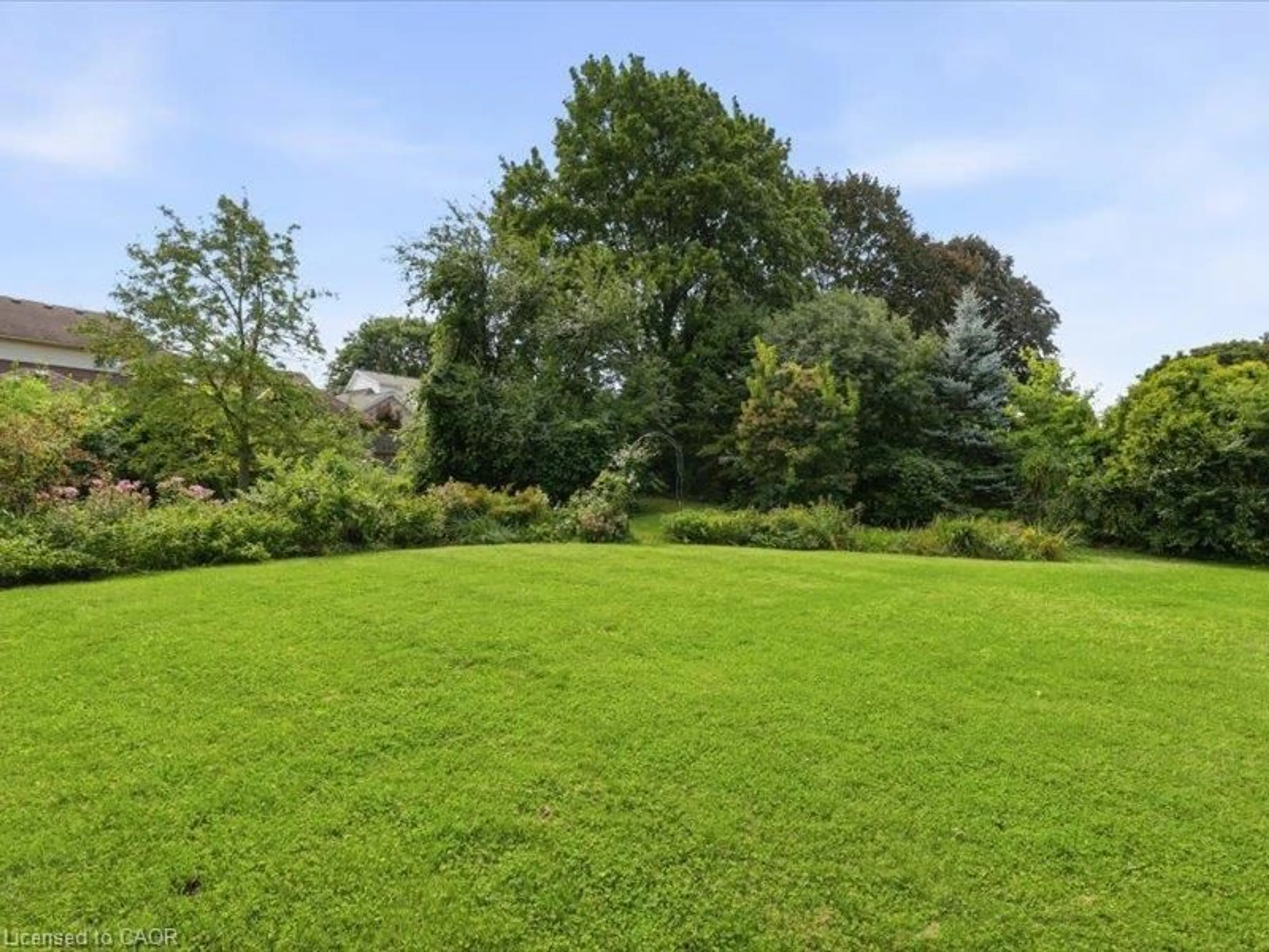 A pic from outside/outdoor area/front of a property/back of a property/a pic from drone, forest/trees view for 419 Forestlawn Rd, Waterloo Ontario N2K 2J5