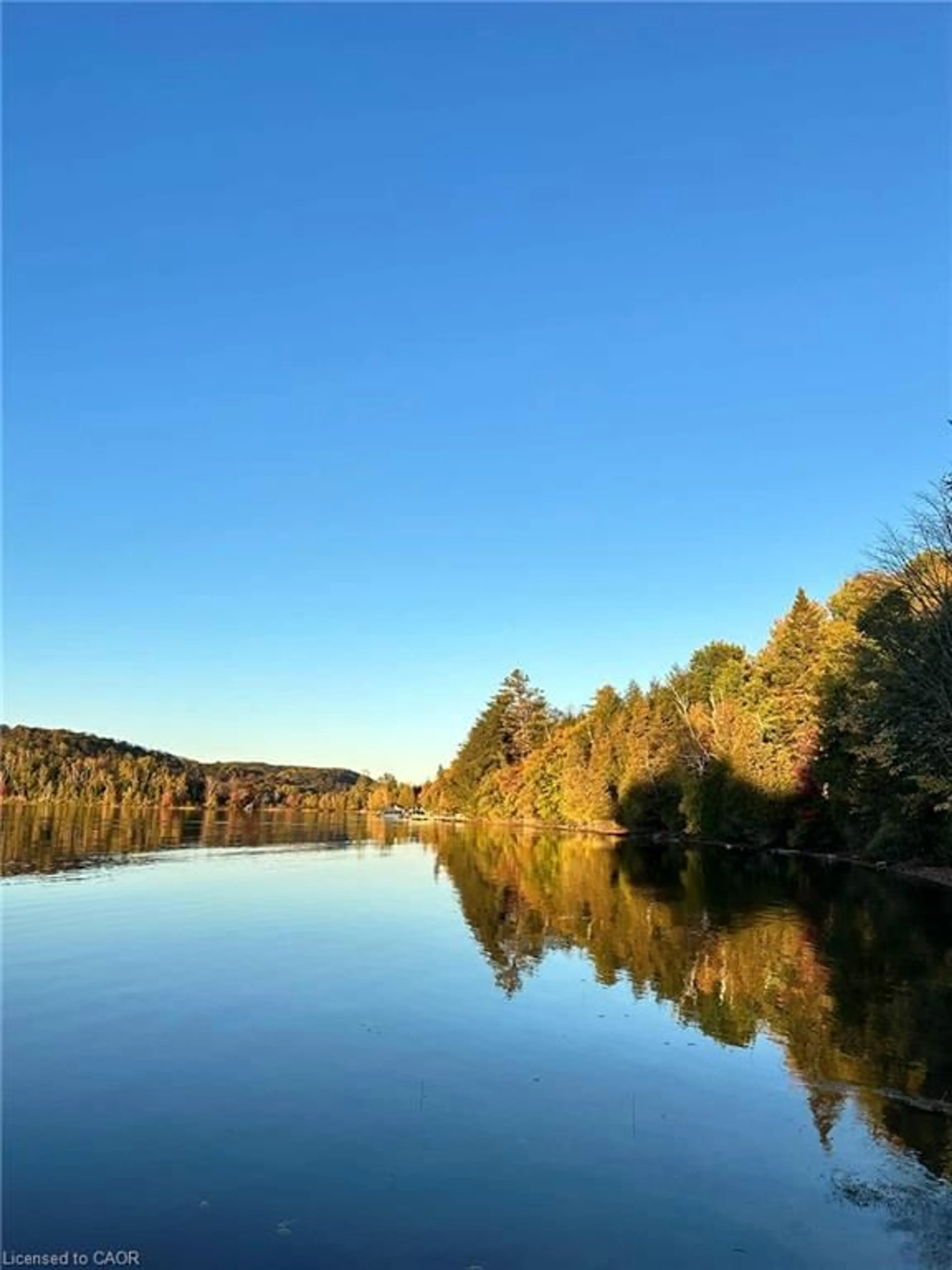 Blurry image for 1257 Paint Lake Rd, Dorset Ontario P0A 1E0