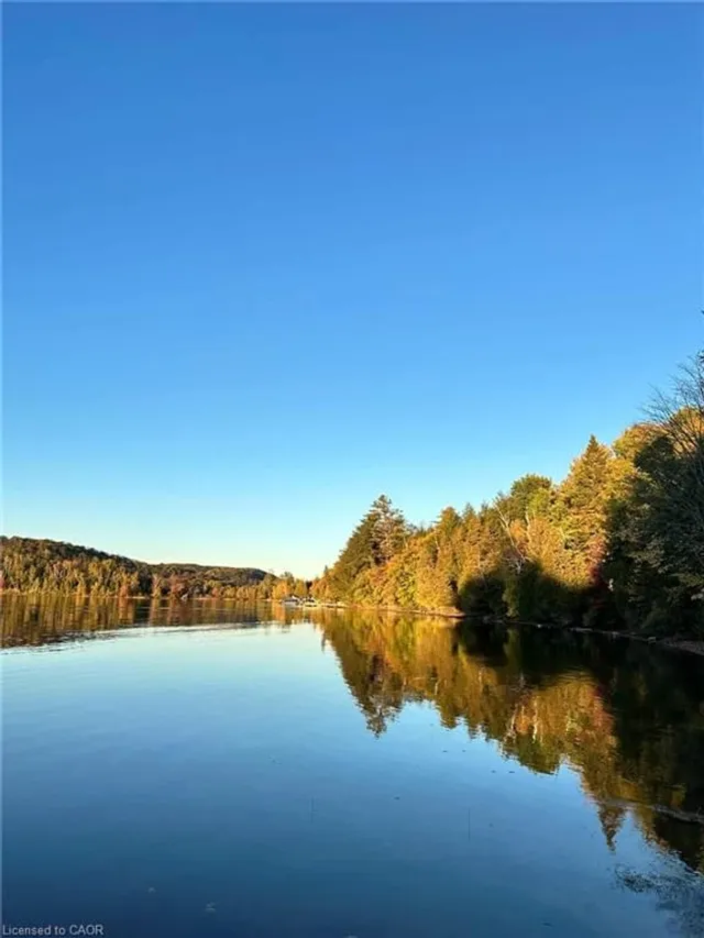 1257 Paint Lake Rd, Dorset 4