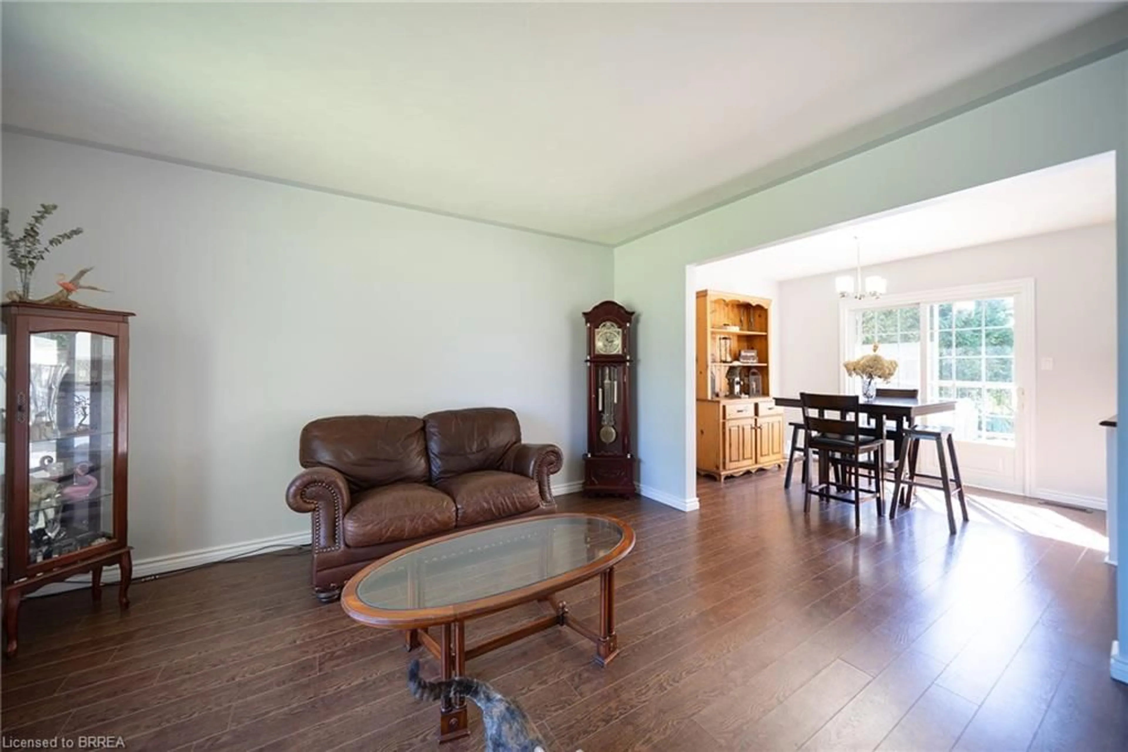 Living room with furniture, wood/laminate floor for 218 Mechanic St, Waterford Ontario N0E 1Y0