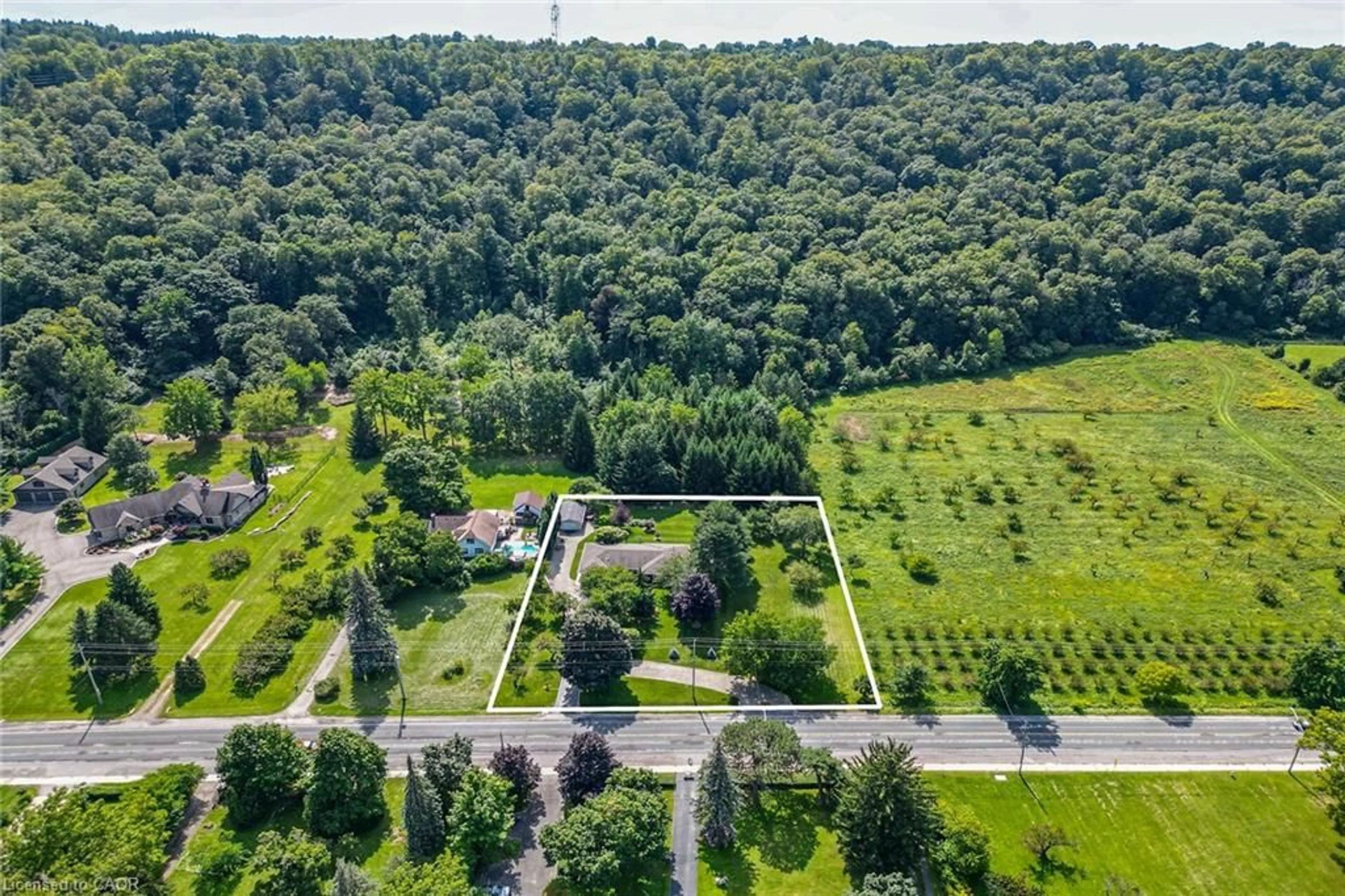 A pic from outside/outdoor area/front of a property/back of a property/a pic from drone, forest/trees view for 385 Main St, Grimsby Ontario L3M 1T1