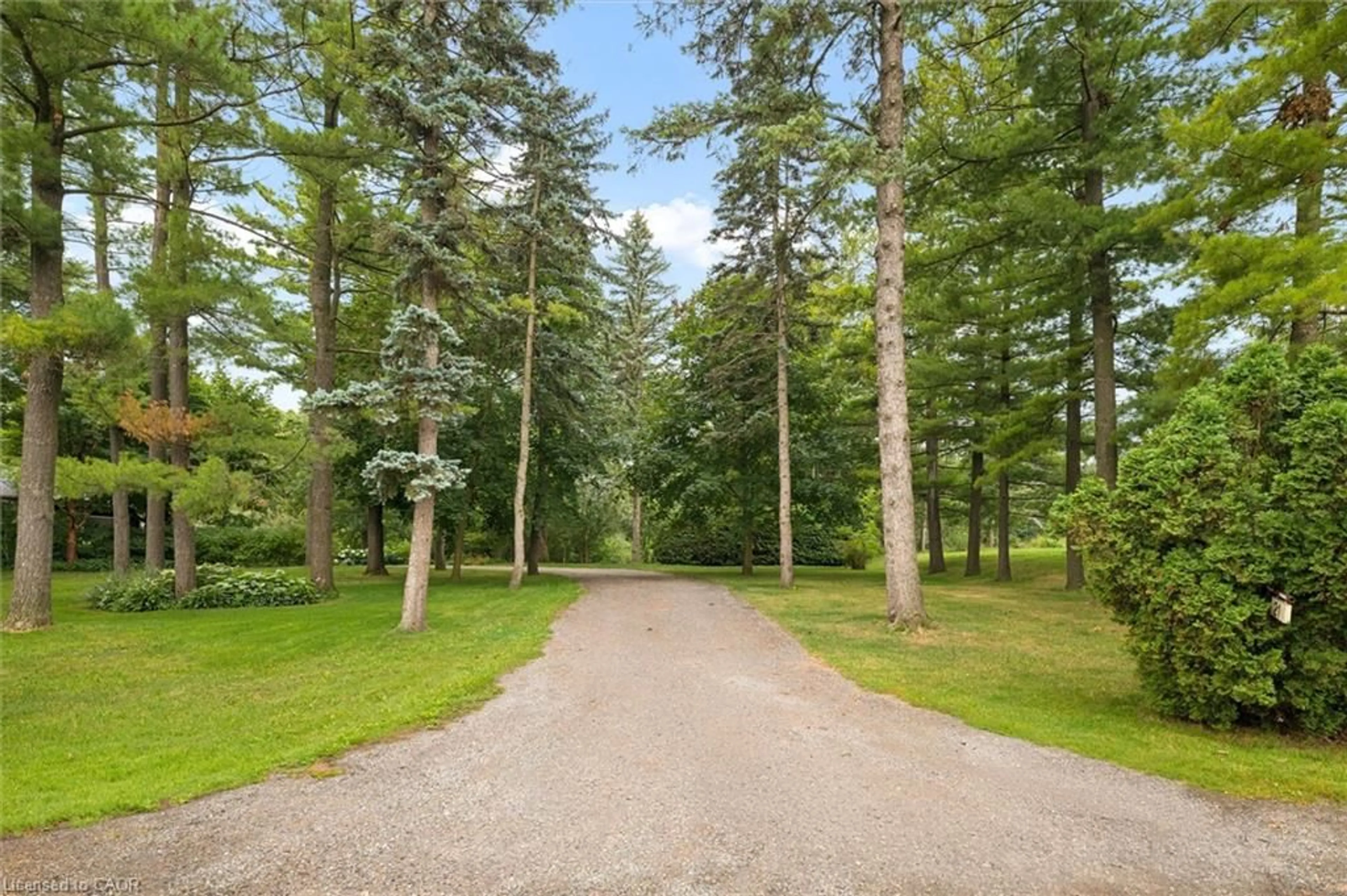 Patio, forest/trees view for 21 Misty River Dr #A, Woolwich Ontario N0B 1N0