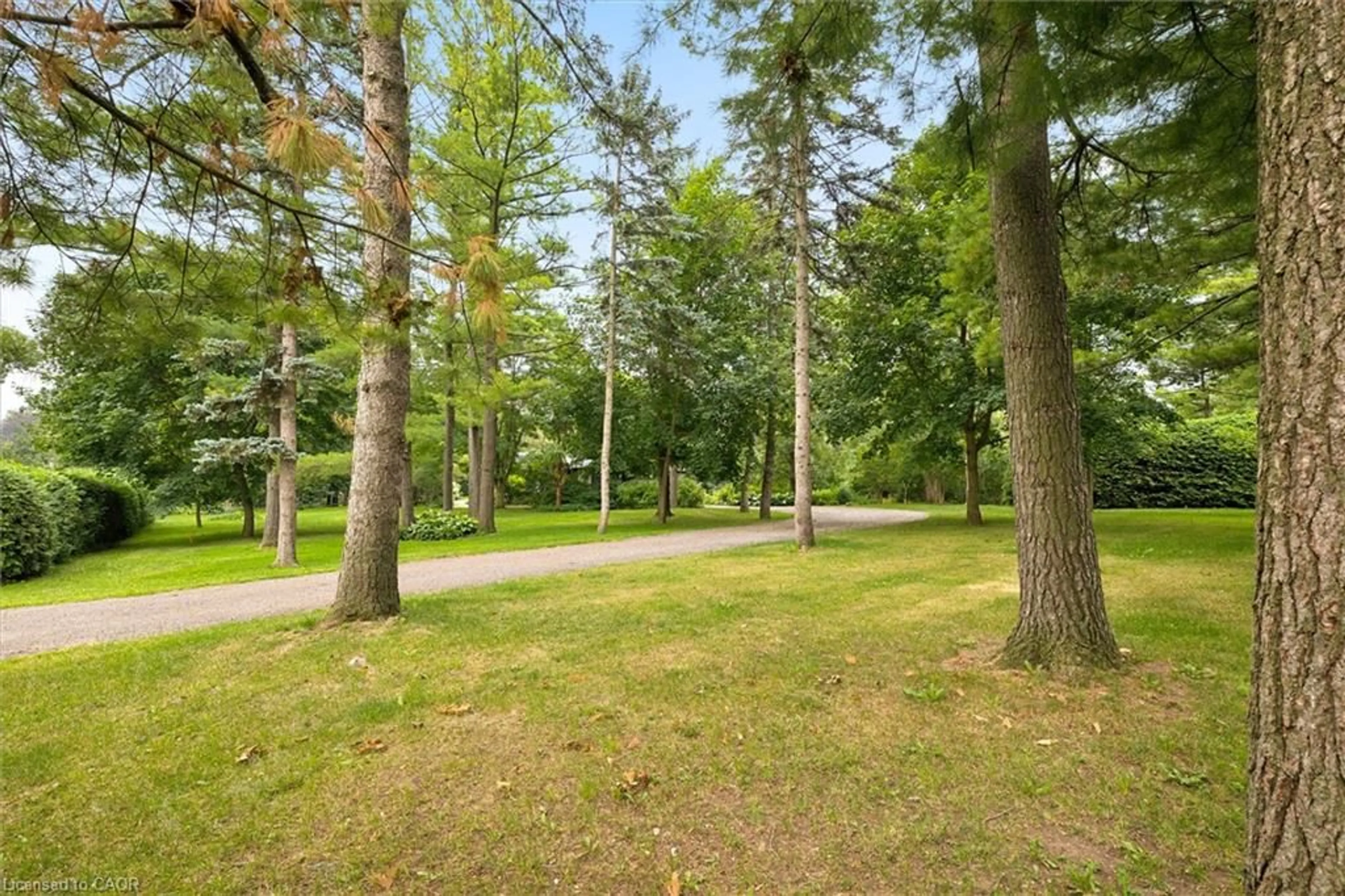 Patio, forest/trees view for 21 Misty River Dr #A, Woolwich Ontario N0B 1N0