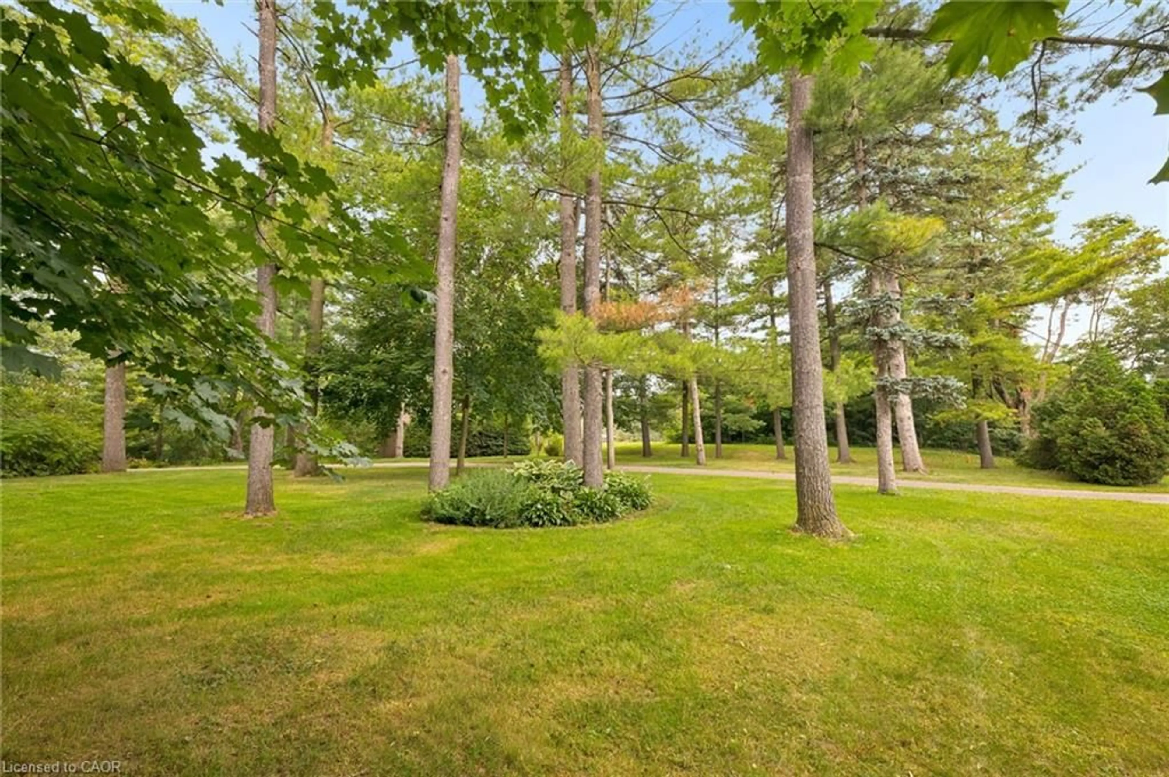 Patio, forest/trees view for 21 Misty River Dr #A, Woolwich Ontario N0B 1N0