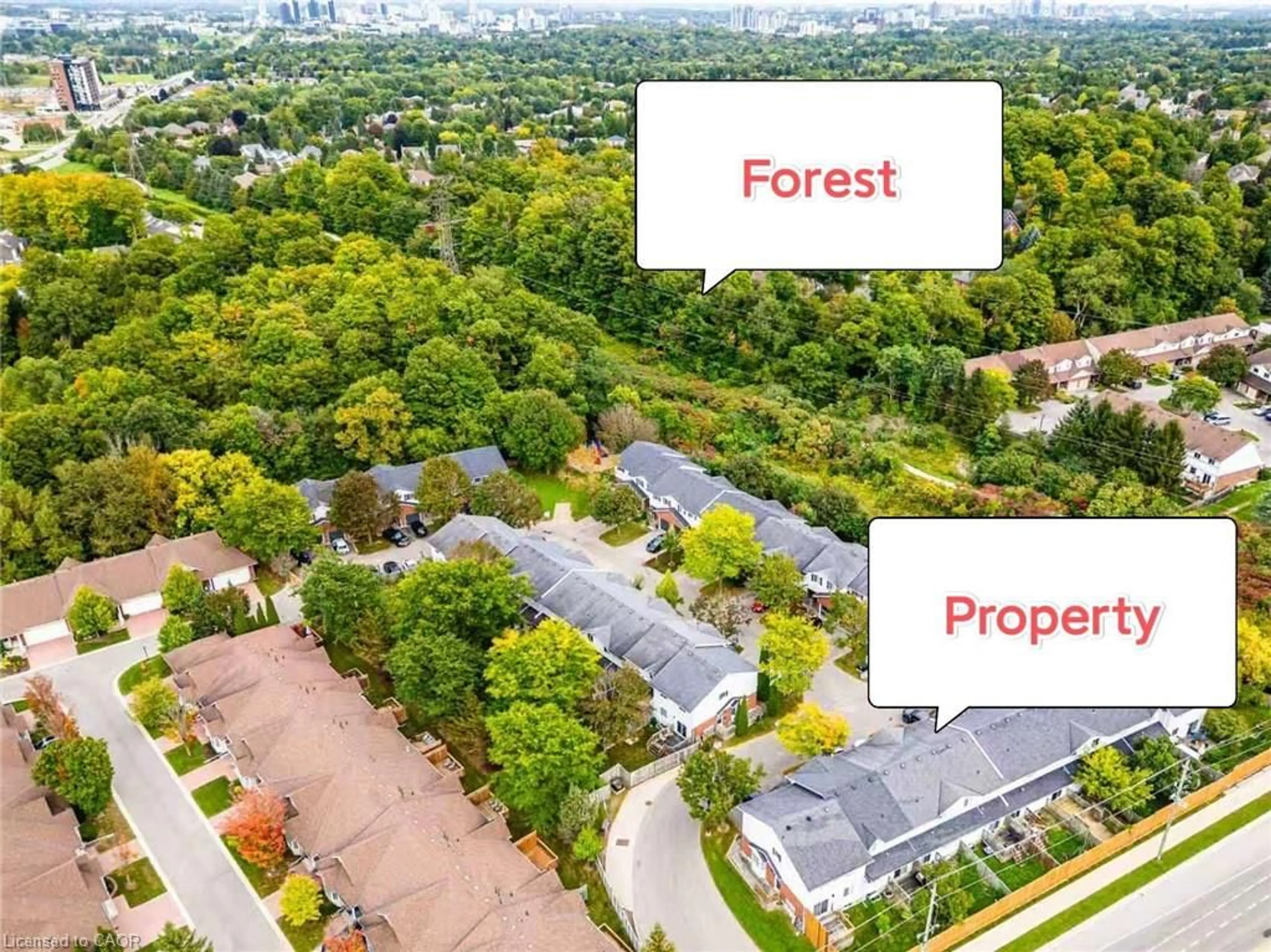 A pic from outside/outdoor area/front of a property/back of a property/a pic from drone, forest/trees view for 350 Erbsville Rd #4, Waterloo Ontario N2T 2P7