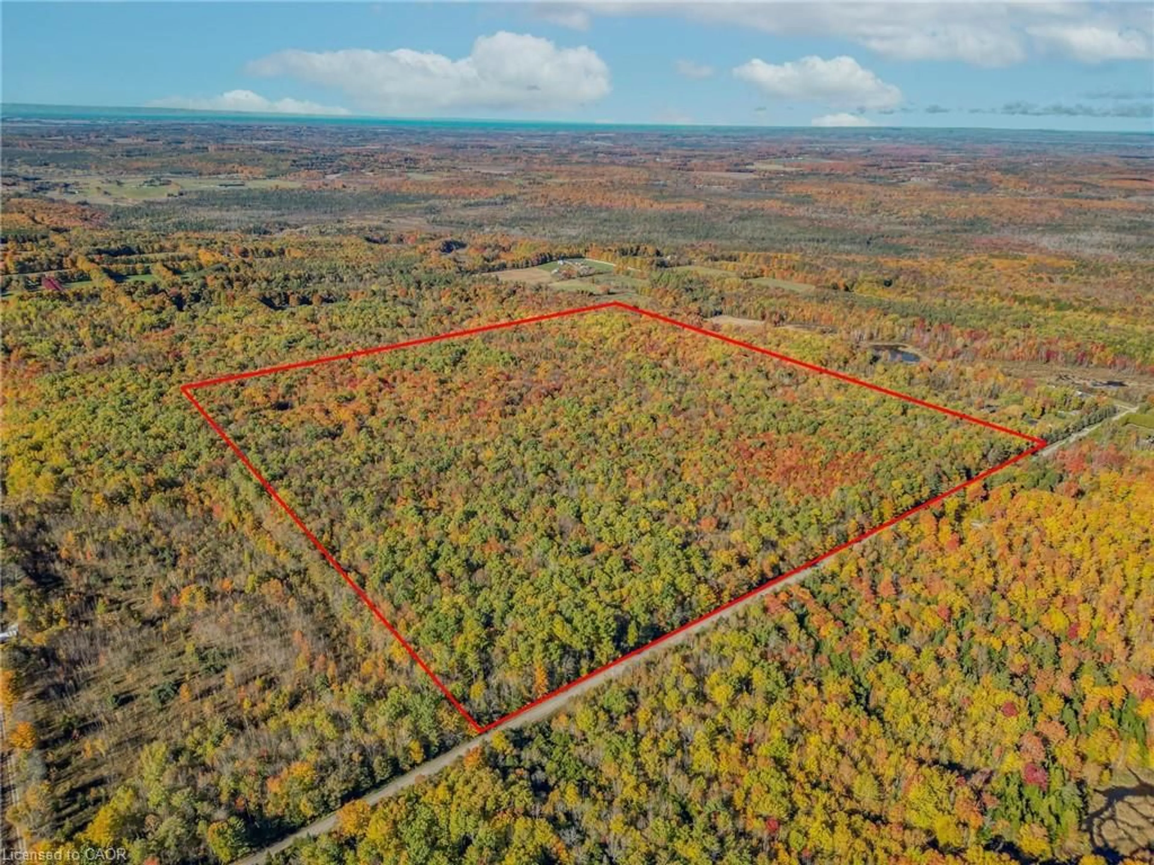 A pic from outside/outdoor area/front of a property/back of a property/a pic from drone, forest/trees view for 5822 Line 8, Moonstone Ontario L0K 1N0
