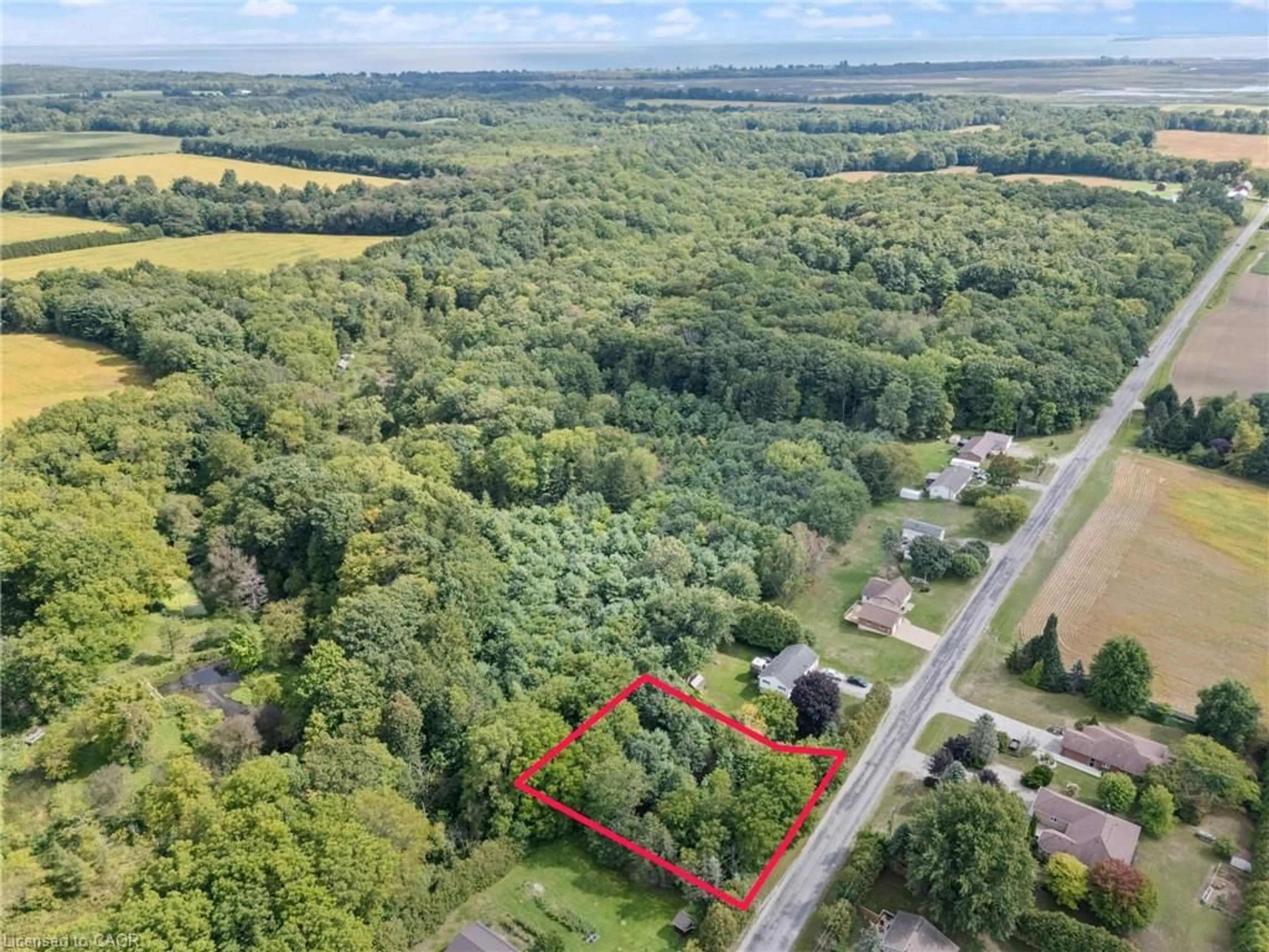 A pic from outside/outdoor area/front of a property/back of a property/a pic from drone, forest/trees view for N/A Charlotteville West Quarter Line, Forestville Ontario N0E 1P0