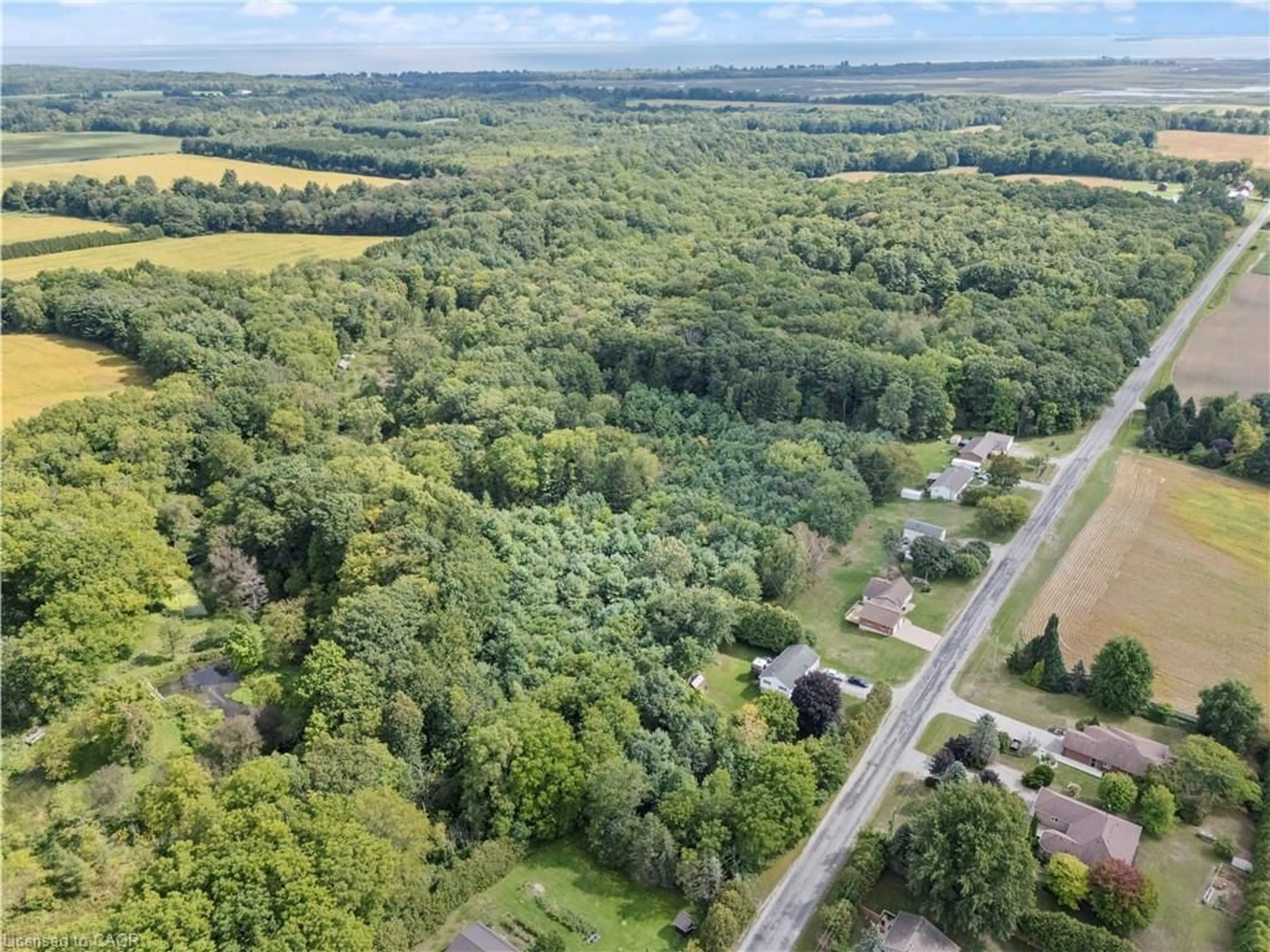 A pic from outside/outdoor area/front of a property/back of a property/a pic from drone, forest/trees view for N/A Charlotteville West Quarter Line, Forestville Ontario N0E 1P0