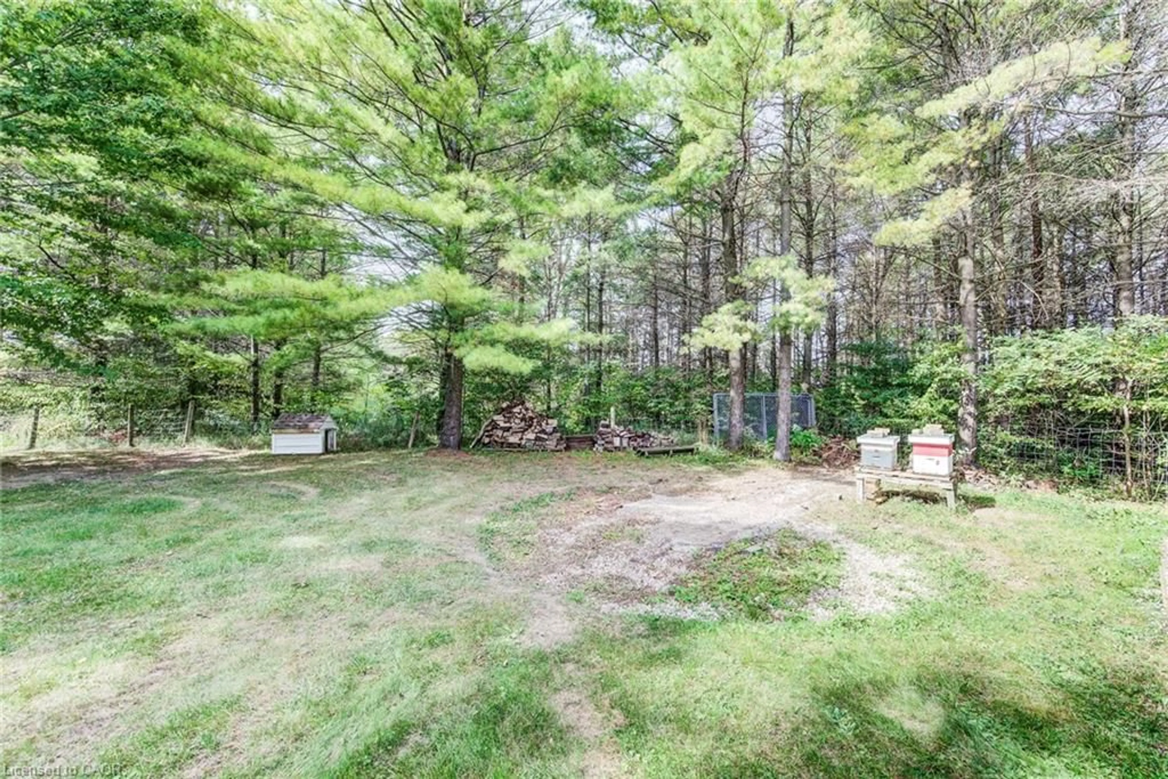 Patio, forest/trees view for 7356 Sideroad 12, Moorefield Ontario N0G 2K0