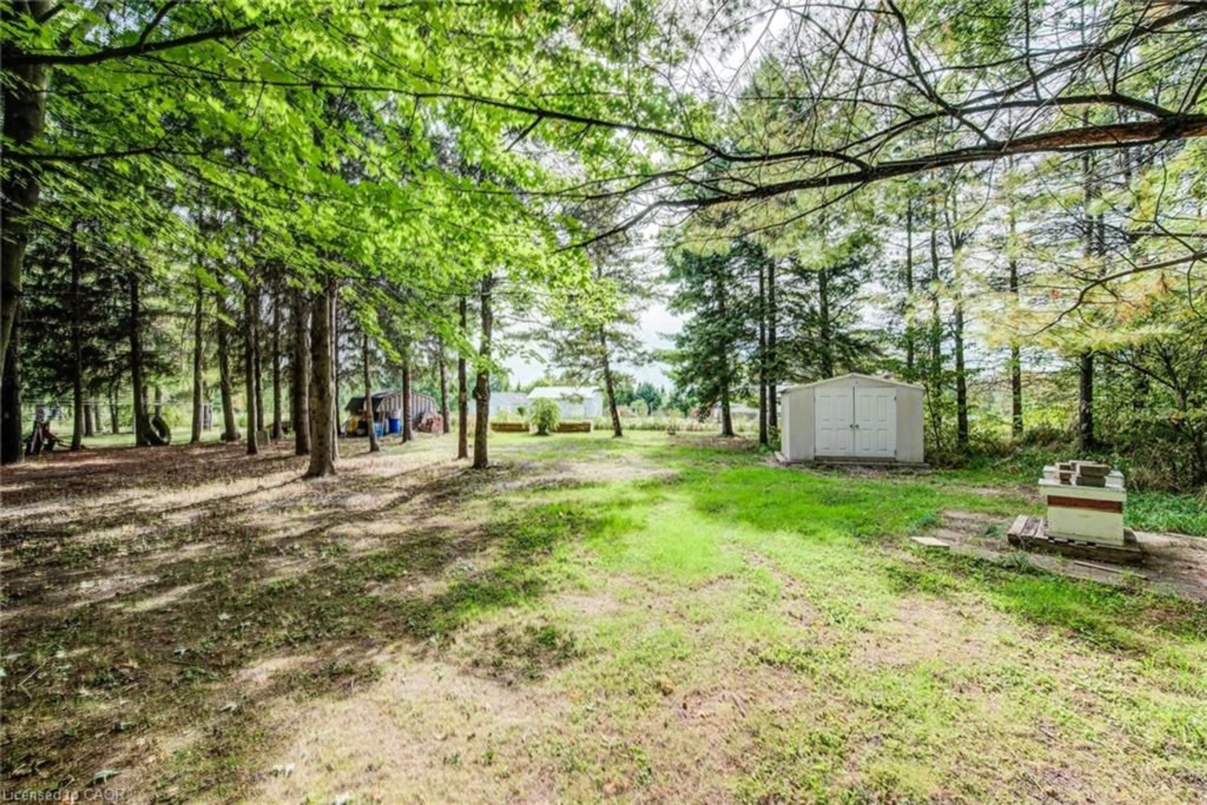 Unknown for 7356 Sideroad 12, Moorefield Ontario N0G 2K0
