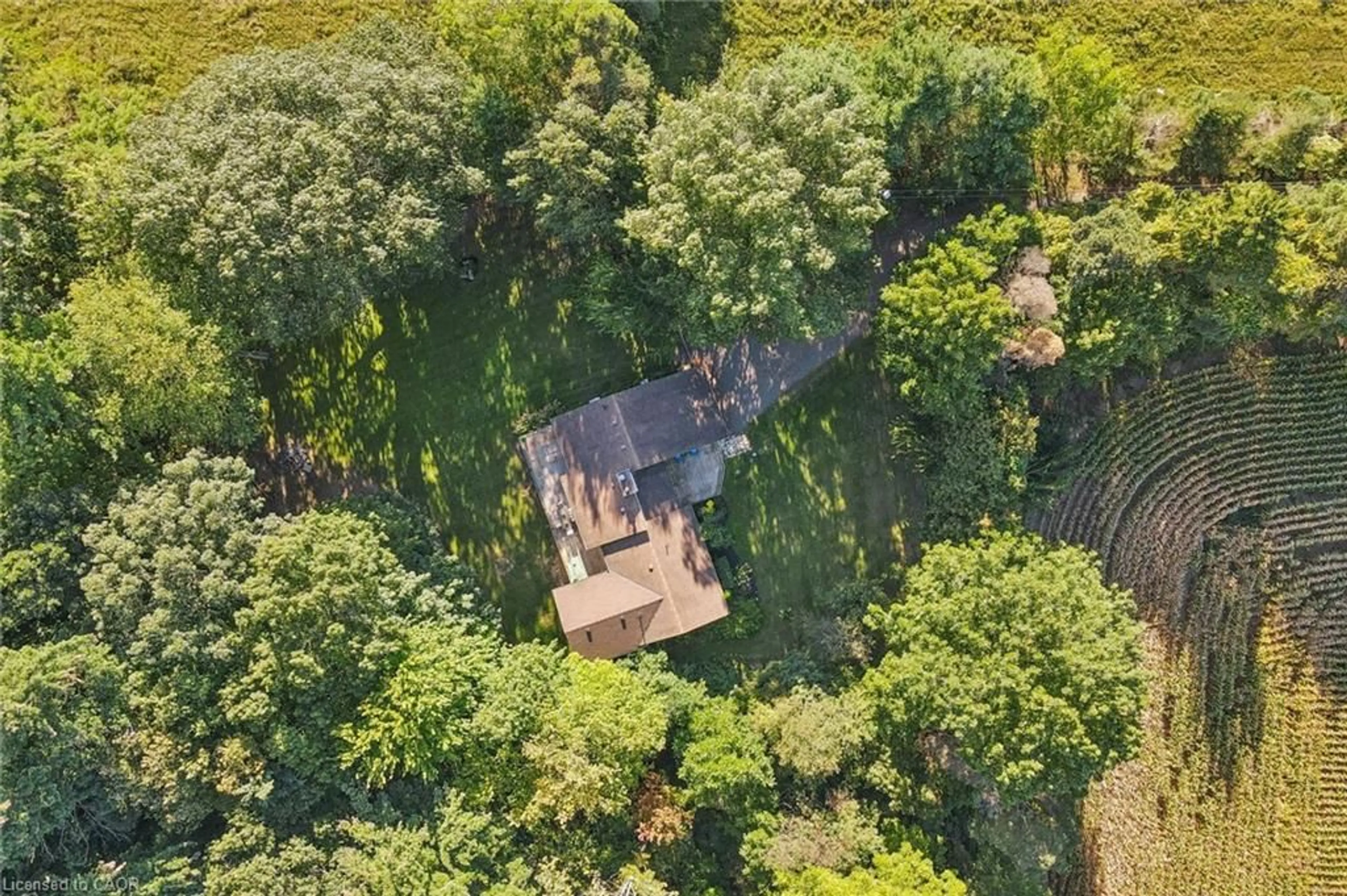 A pic from outside/outdoor area/front of a property/back of a property/a pic from drone, forest/trees view for 282 Concession Rd 2, Scotland Ontario N0E 1L0
