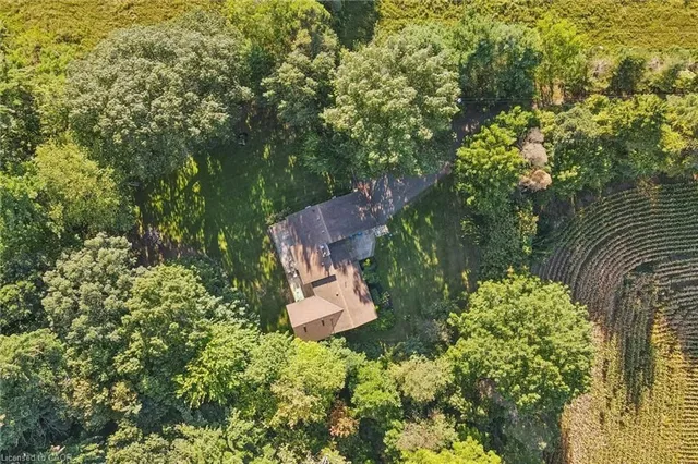 282 Concession Rd 2, Scotland 4