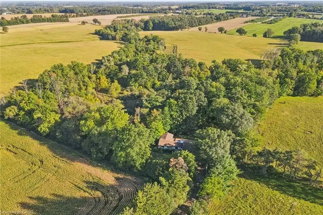 282 Concession Rd 2, Scotland 5
