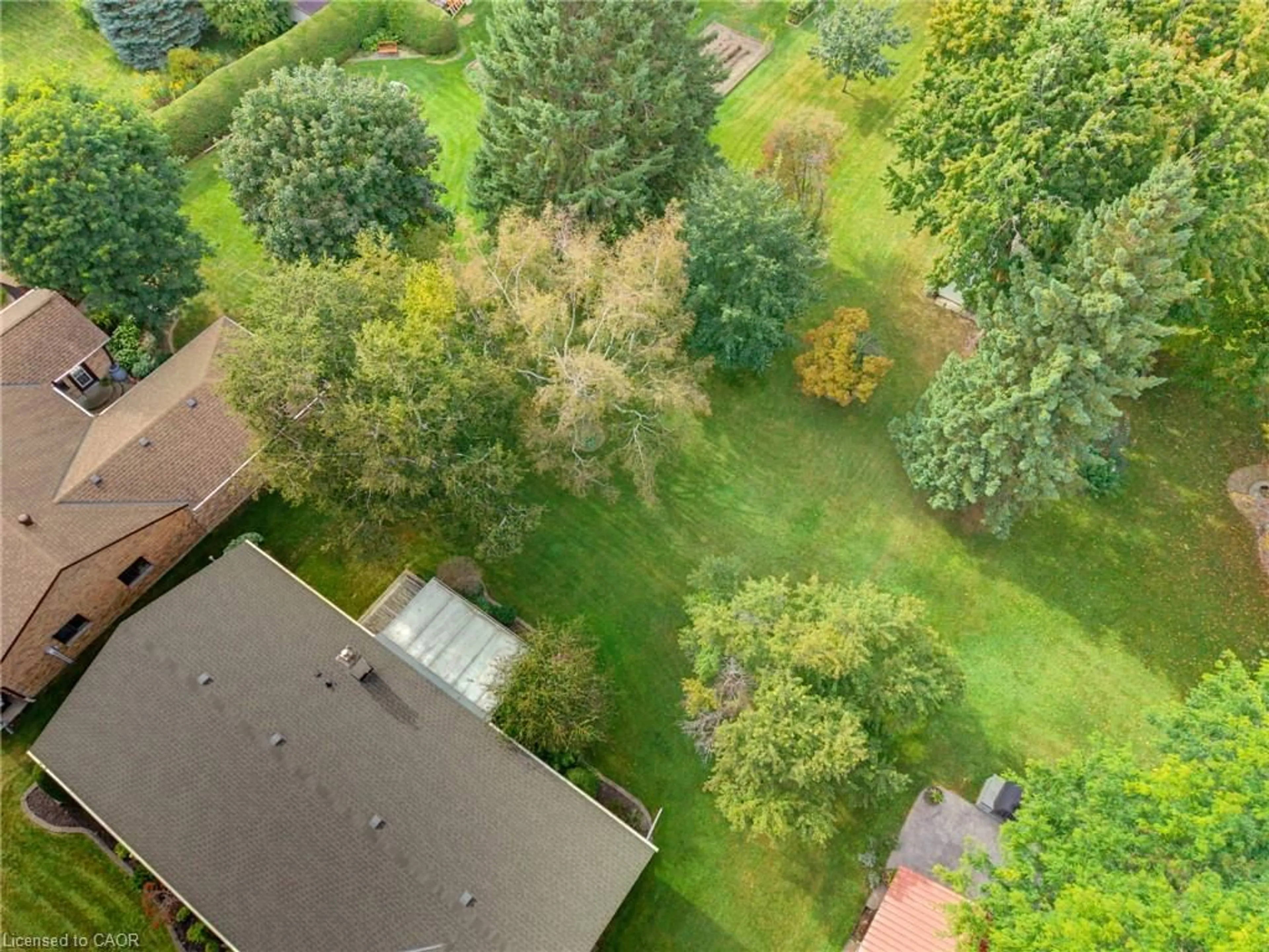 A pic from outside/outdoor area/front of a property/back of a property/a pic from drone, forest/trees view for 15 Mclaren Ave, Listowel Ontario N4W 3K1