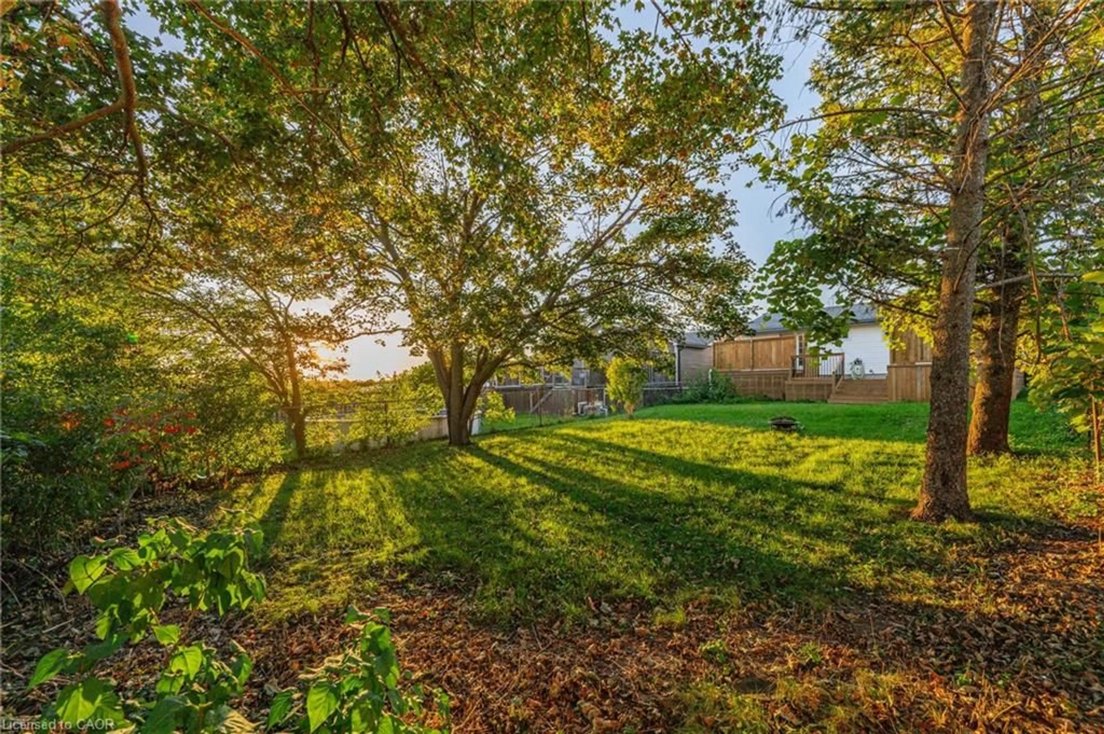 A pic from outside/outdoor area/front of a property/back of a property/a pic from drone, forest/trees view for 121 Southwood Dr, Kitchener Ontario N2E 2J1
