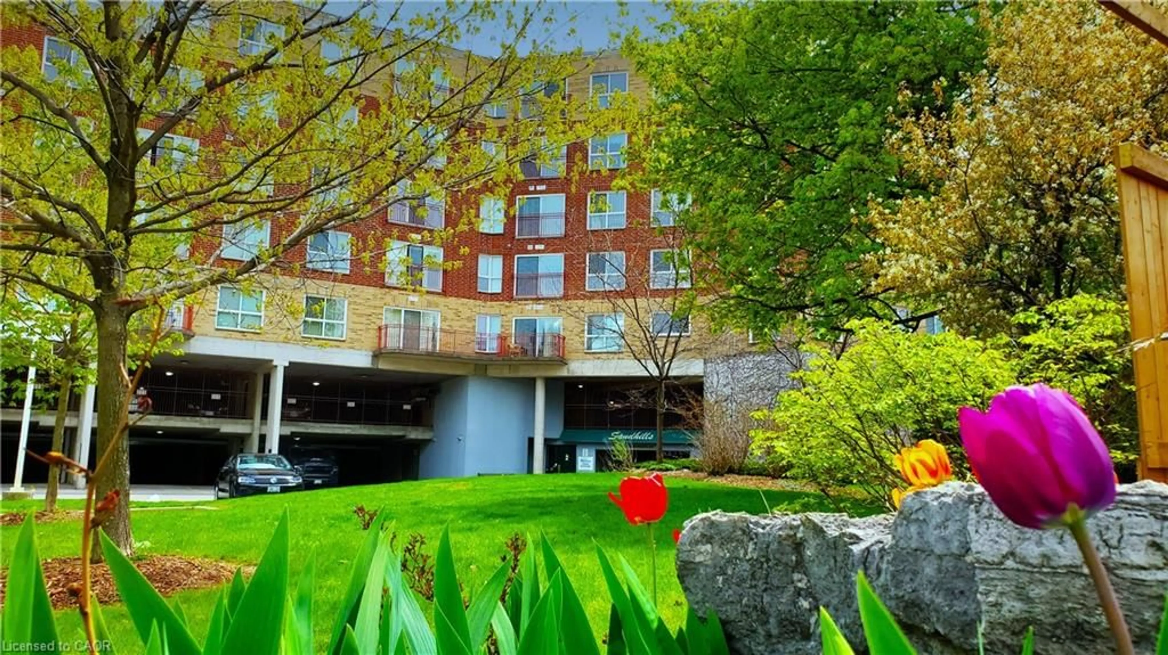 Lobby for 20 St. George St #404, Kitchener Ontario N2G 2S7