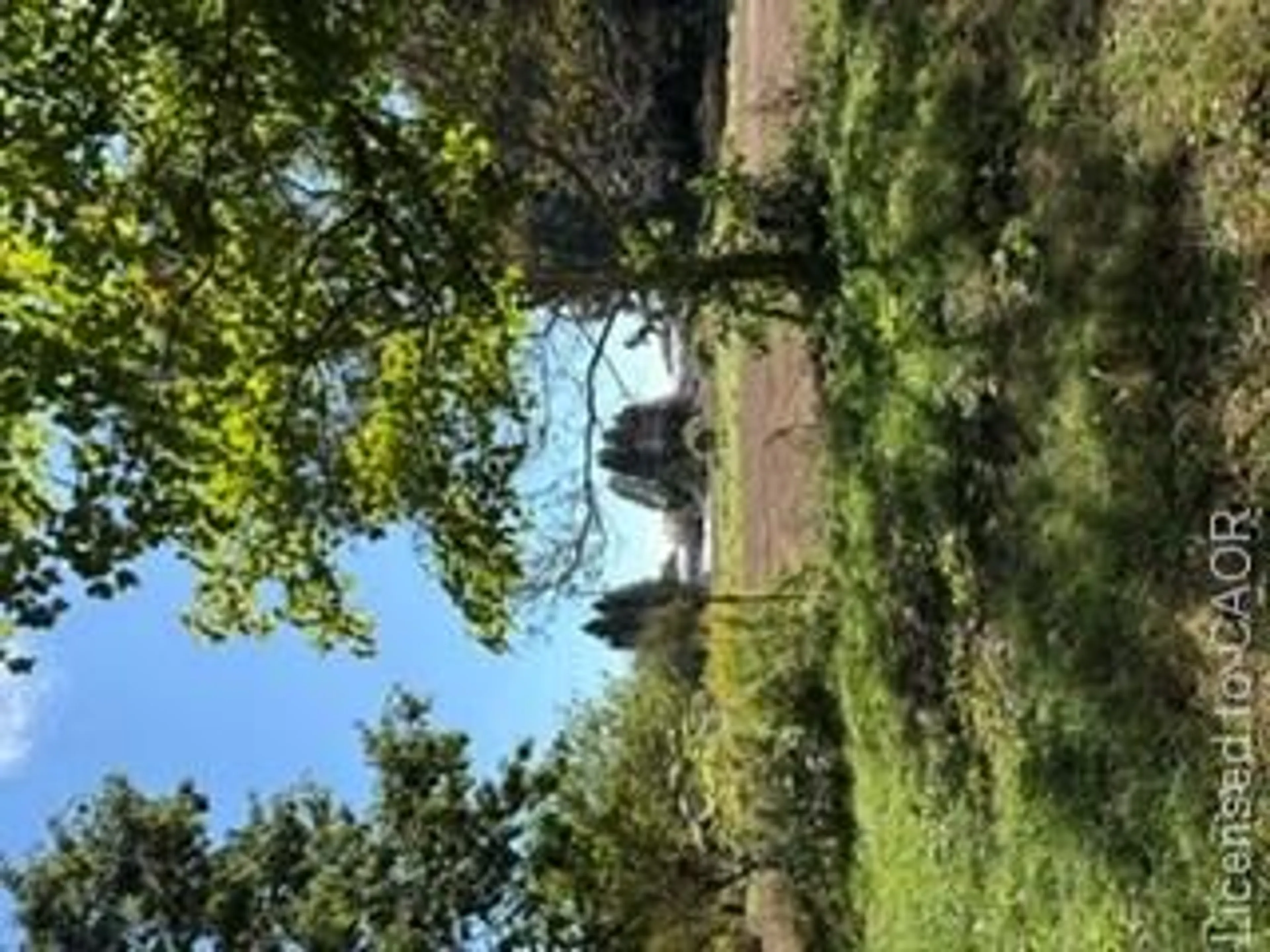 A pic from outside/outdoor area/front of a property/back of a property/a pic from drone, forest/trees view for 9 Concession 5 Rd, Hamilton Ontario L8B 1K4