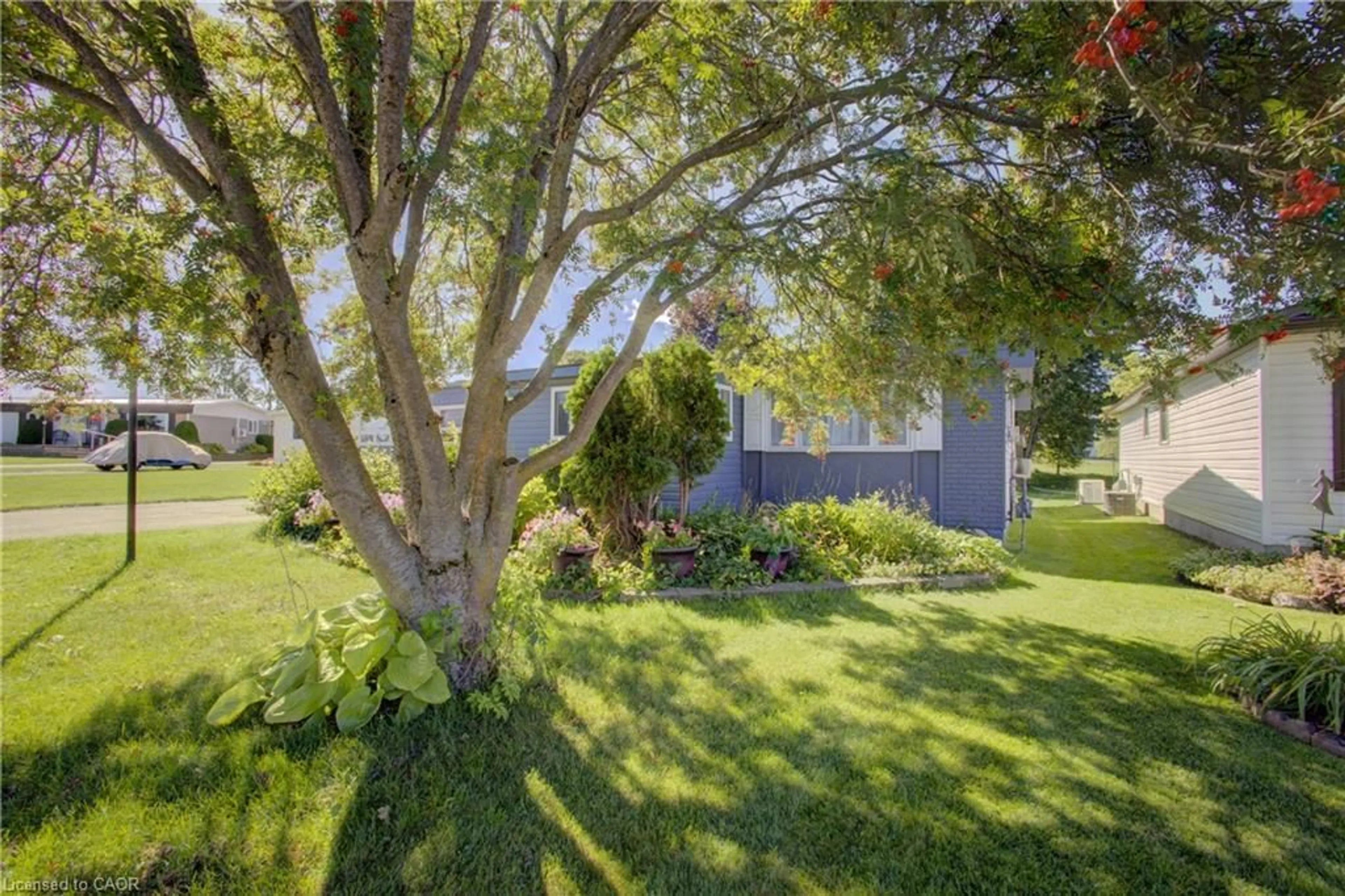 A pic from outside/outdoor area/front of a property/back of a property/a pic from drone, street for 52 Fairview Cres, Listowel Ontario N4W 3G8