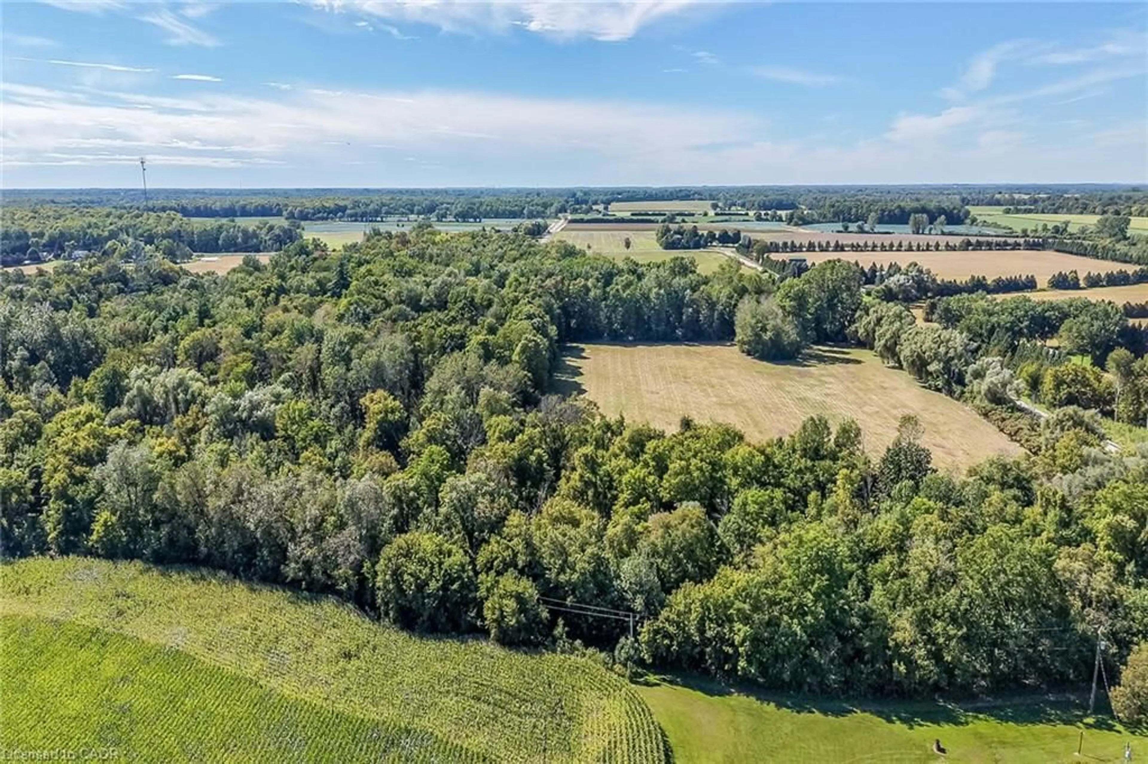 A pic from outside/outdoor area/front of a property/back of a property/a pic from drone, forest/trees view for PT LT 1-2 Norfolk County Rd 19 E, Wilsonville Ontario N0E 1Z0