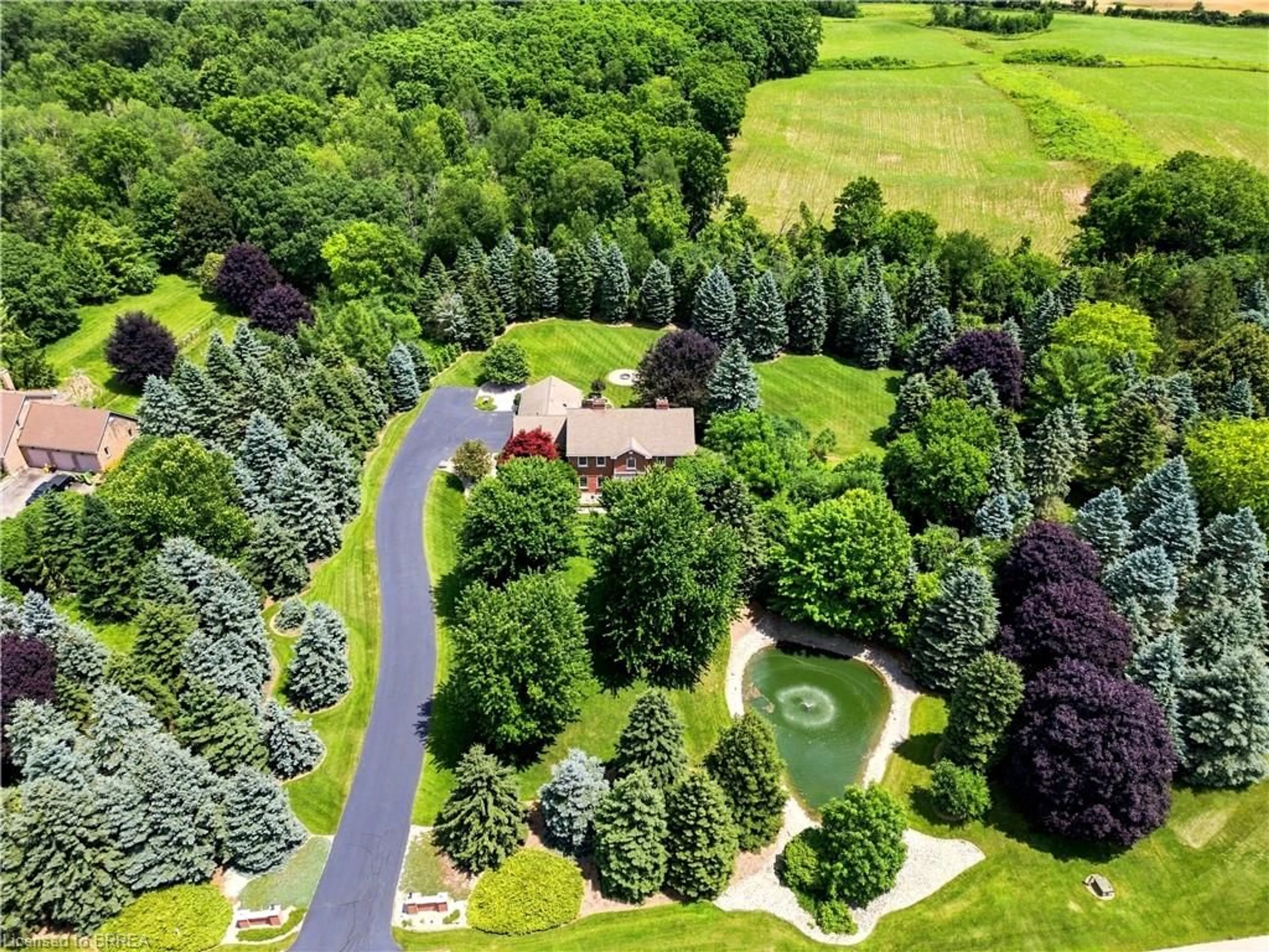 A pic from outside/outdoor area/front of a property/back of a property/a pic from drone, forest/trees view for 6 Hickory Hollow, Brant County Ontario N0E 1N0