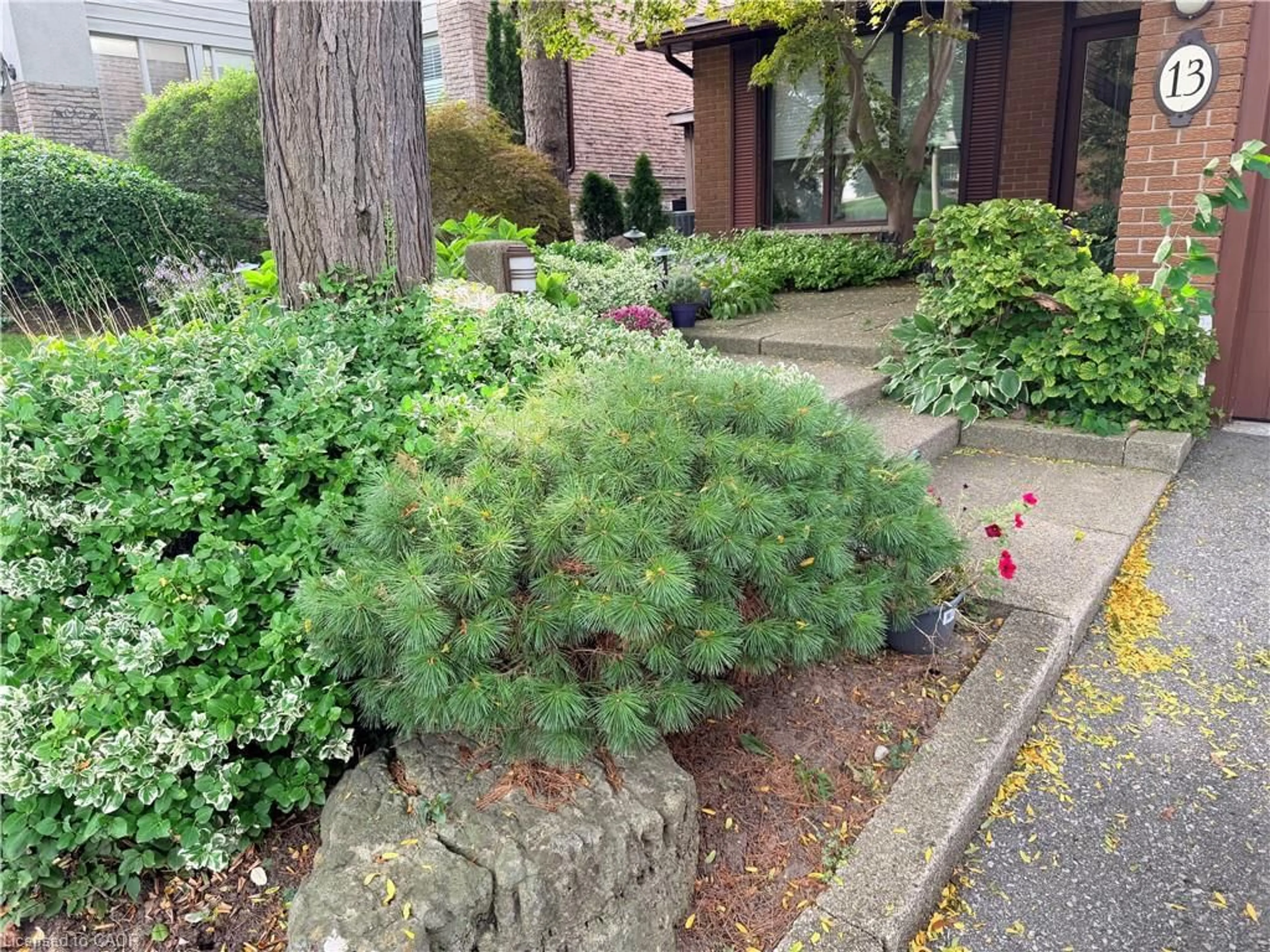 Patio, street for 13 Mistflower Rd, North York Ontario M2H 3G8