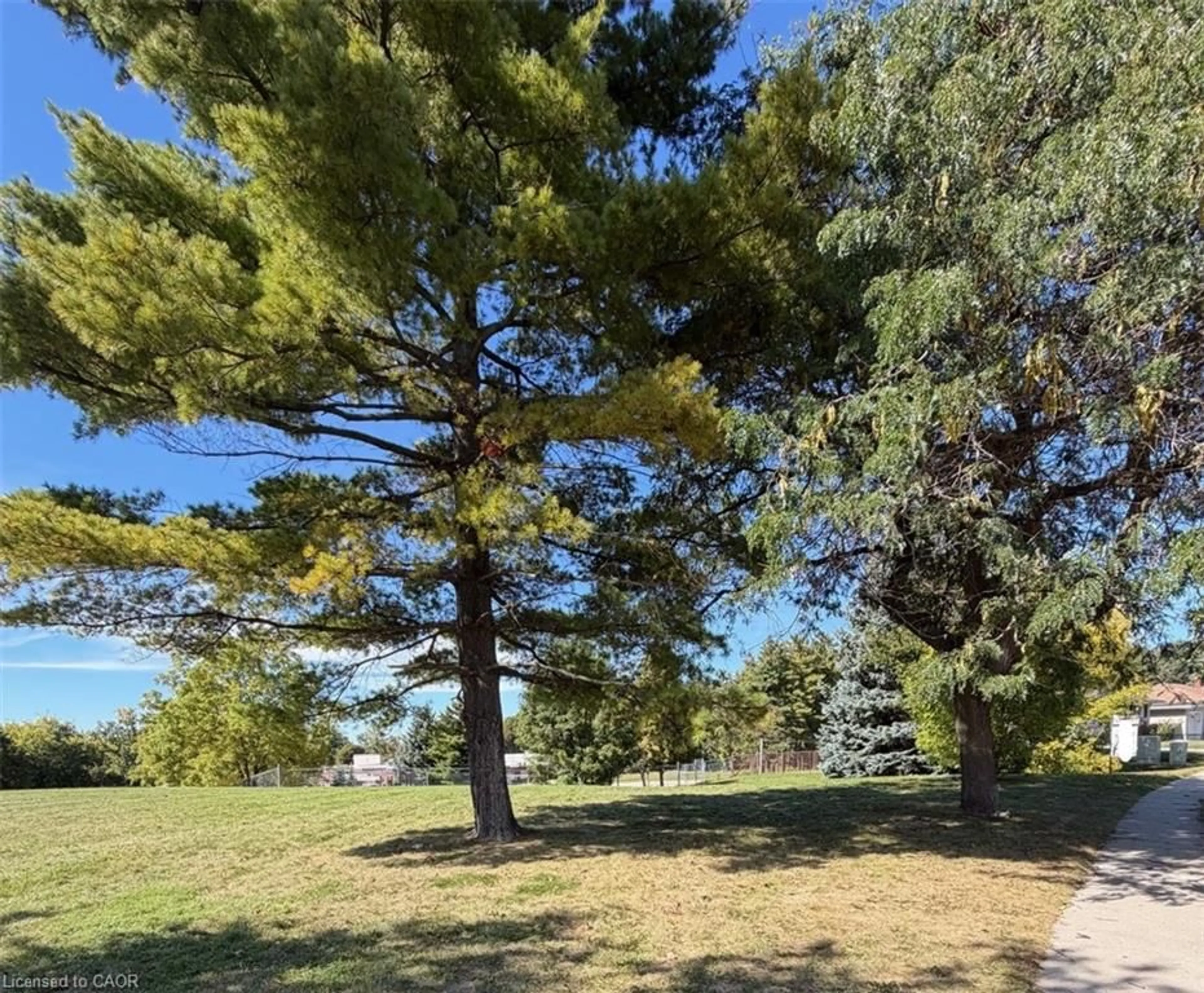 A pic from outside/outdoor area/front of a property/back of a property/a pic from drone, forest/trees view for 36 Lauris Ave, Cambridge Ontario N1R 5L4