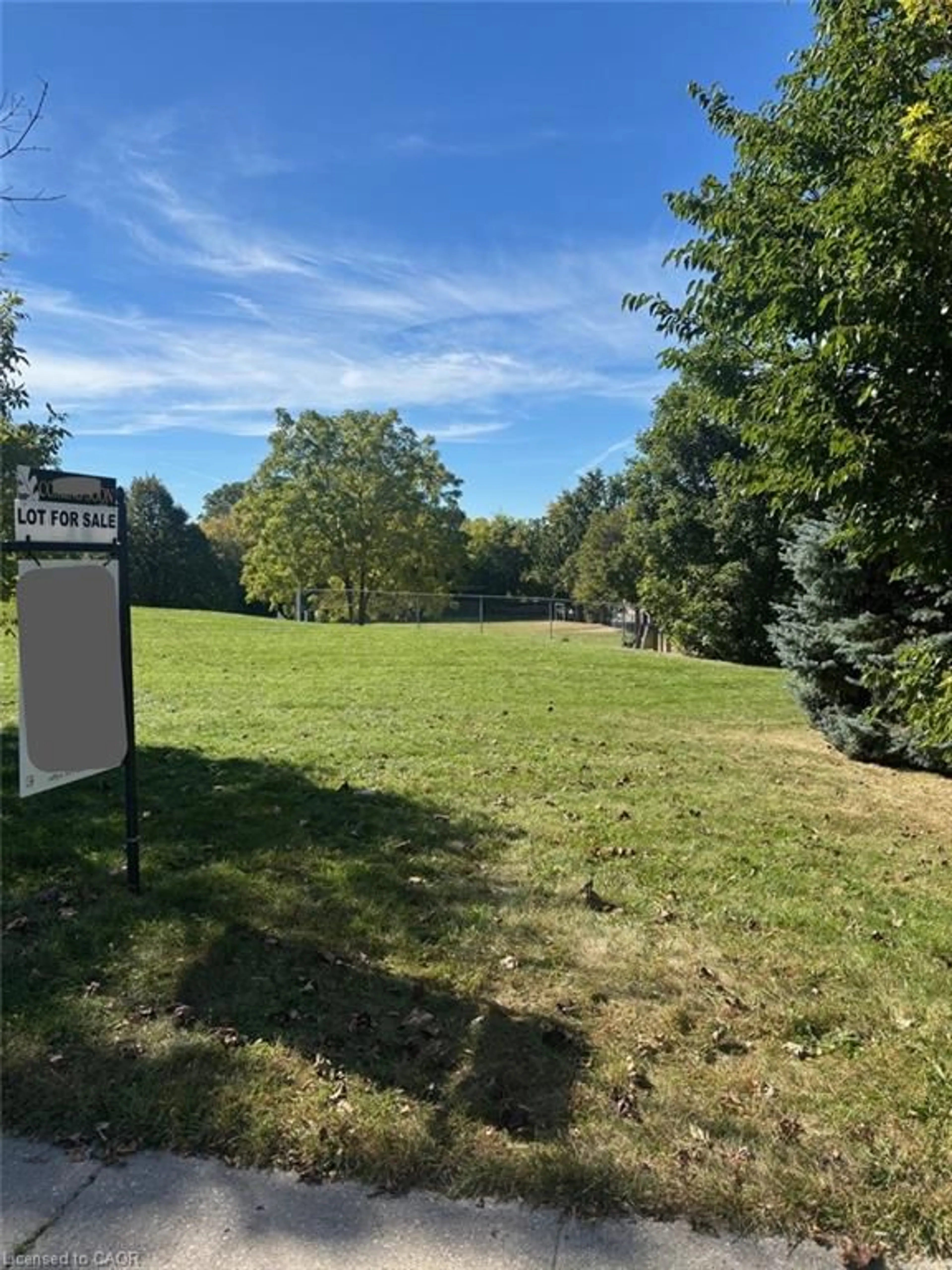 A pic from outside/outdoor area/front of a property/back of a property/a pic from drone, forest/trees view for 36 Lauris Ave, Cambridge Ontario N1R 5L4