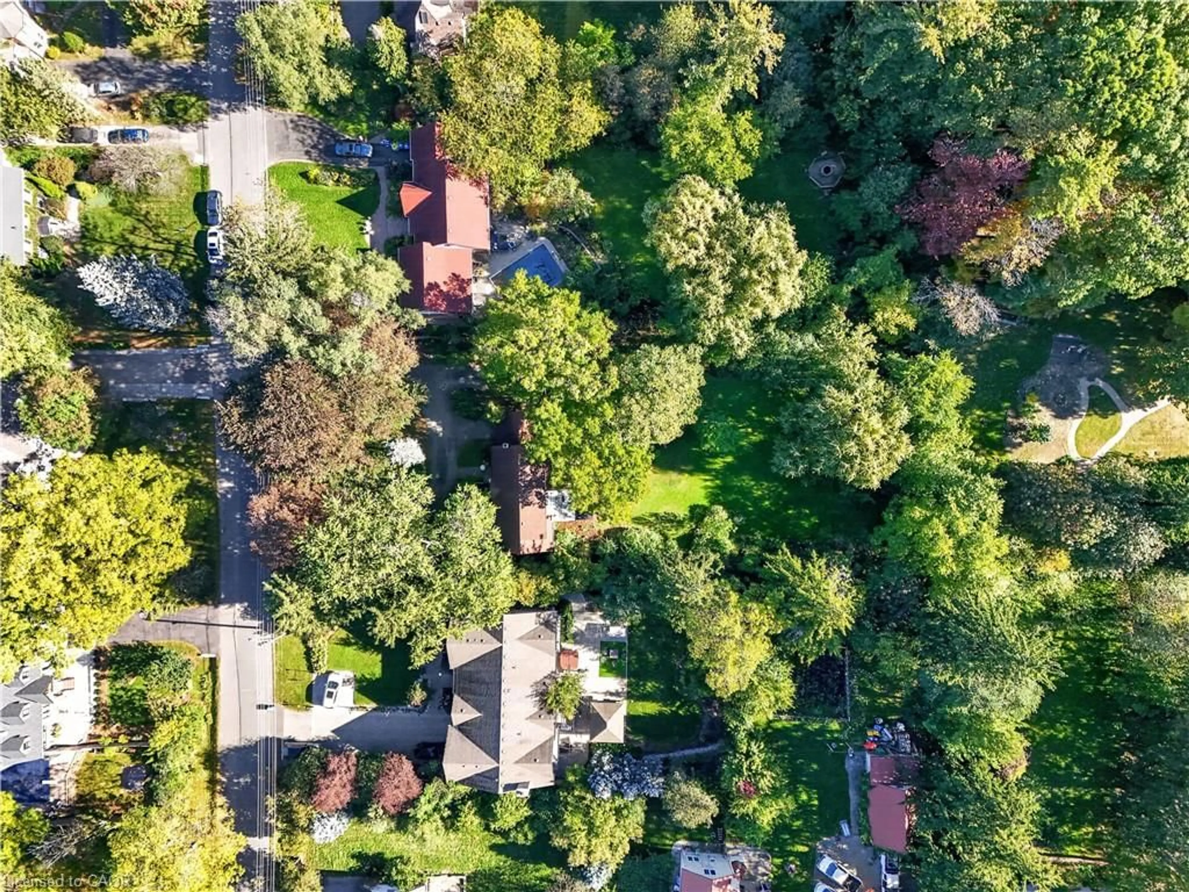 A pic from outside/outdoor area/front of a property/back of a property/a pic from drone, forest/trees view for 40 Pinewood Trail, Mississauga Ontario L5G 2L1