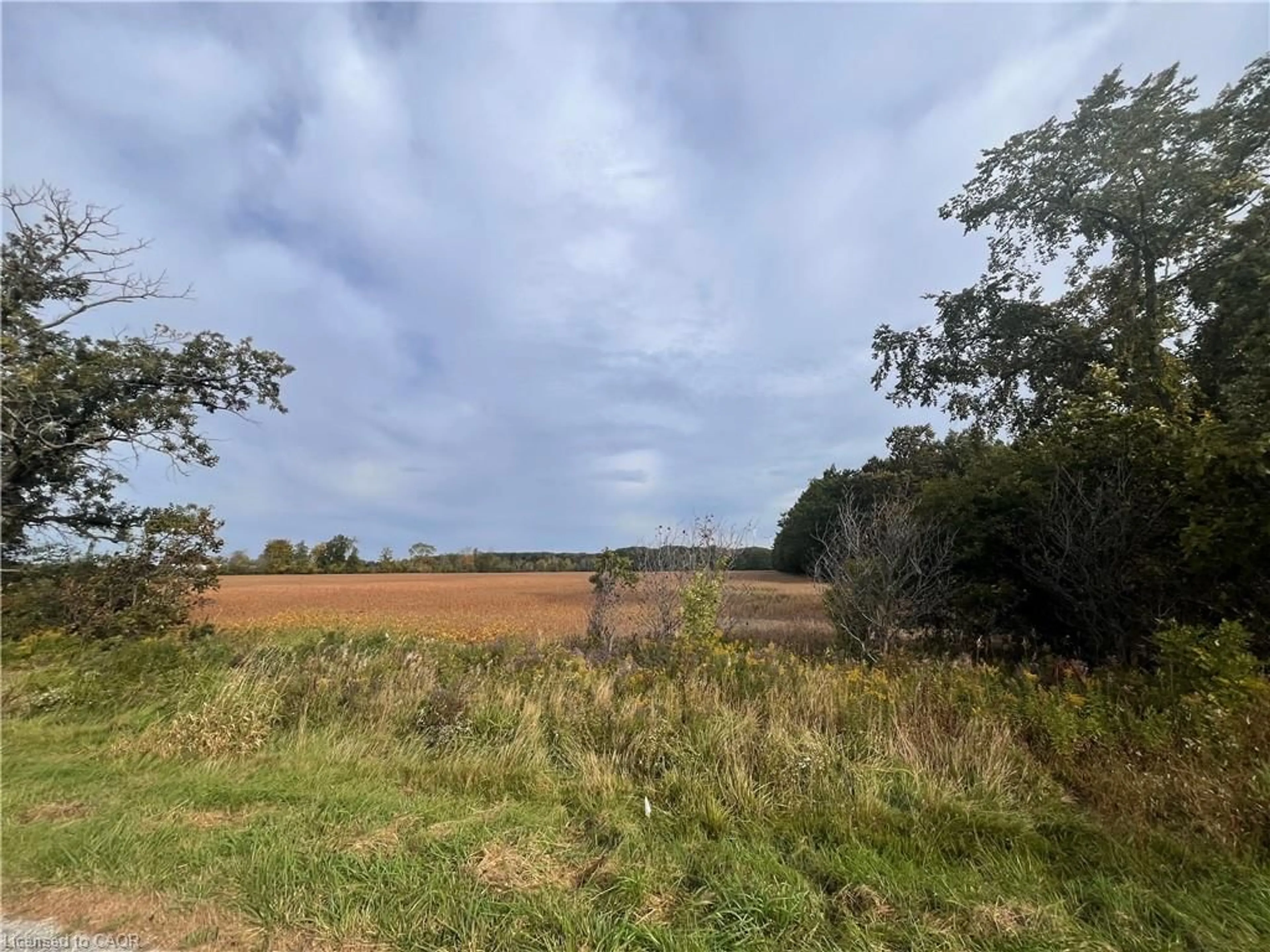 A pic from outside/outdoor area/front of a property/back of a property/a pic from drone, forest/trees view for VL Kings Row, Dunnville Ontario N1A 2W7
