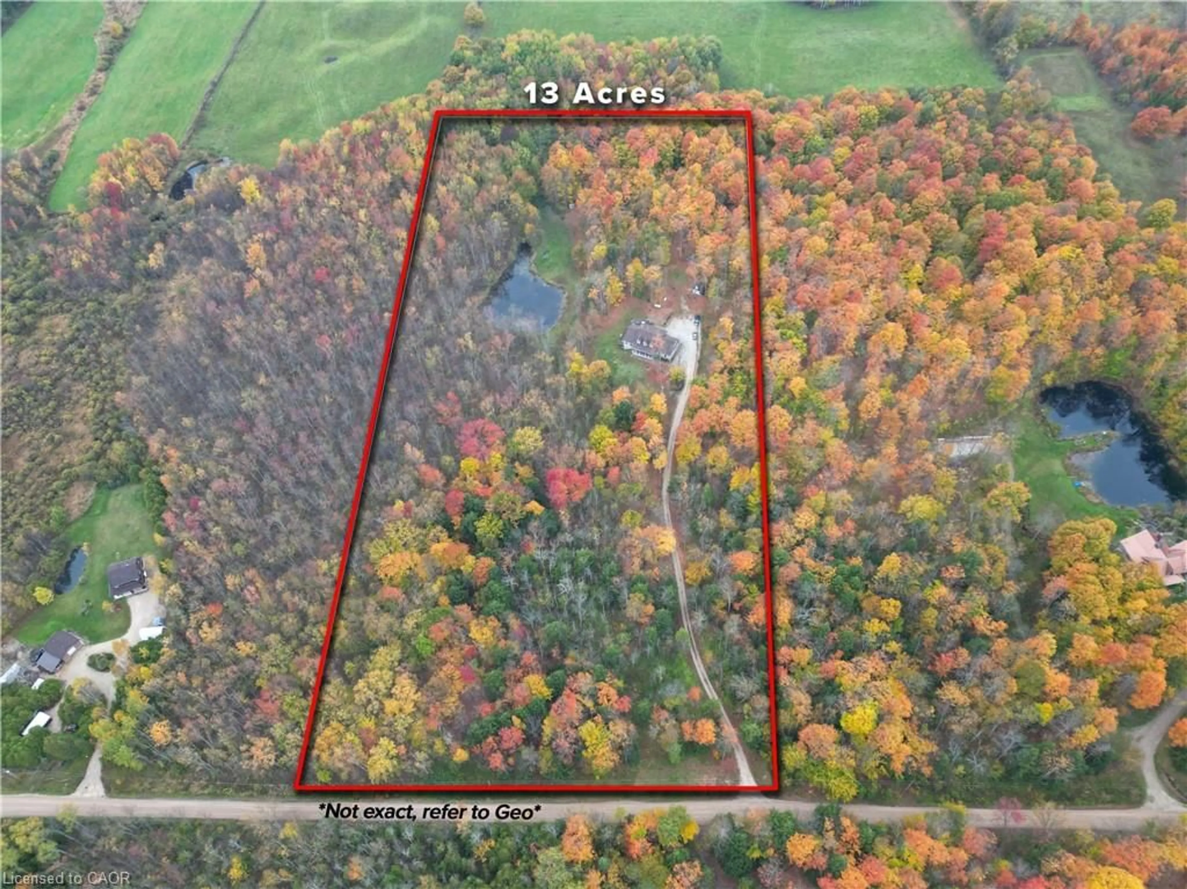 A pic from outside/outdoor area/front of a property/back of a property/a pic from drone, forest/trees view for 236172 Concession 2b, Chatsworth (Twp) Ontario N0H 1G0