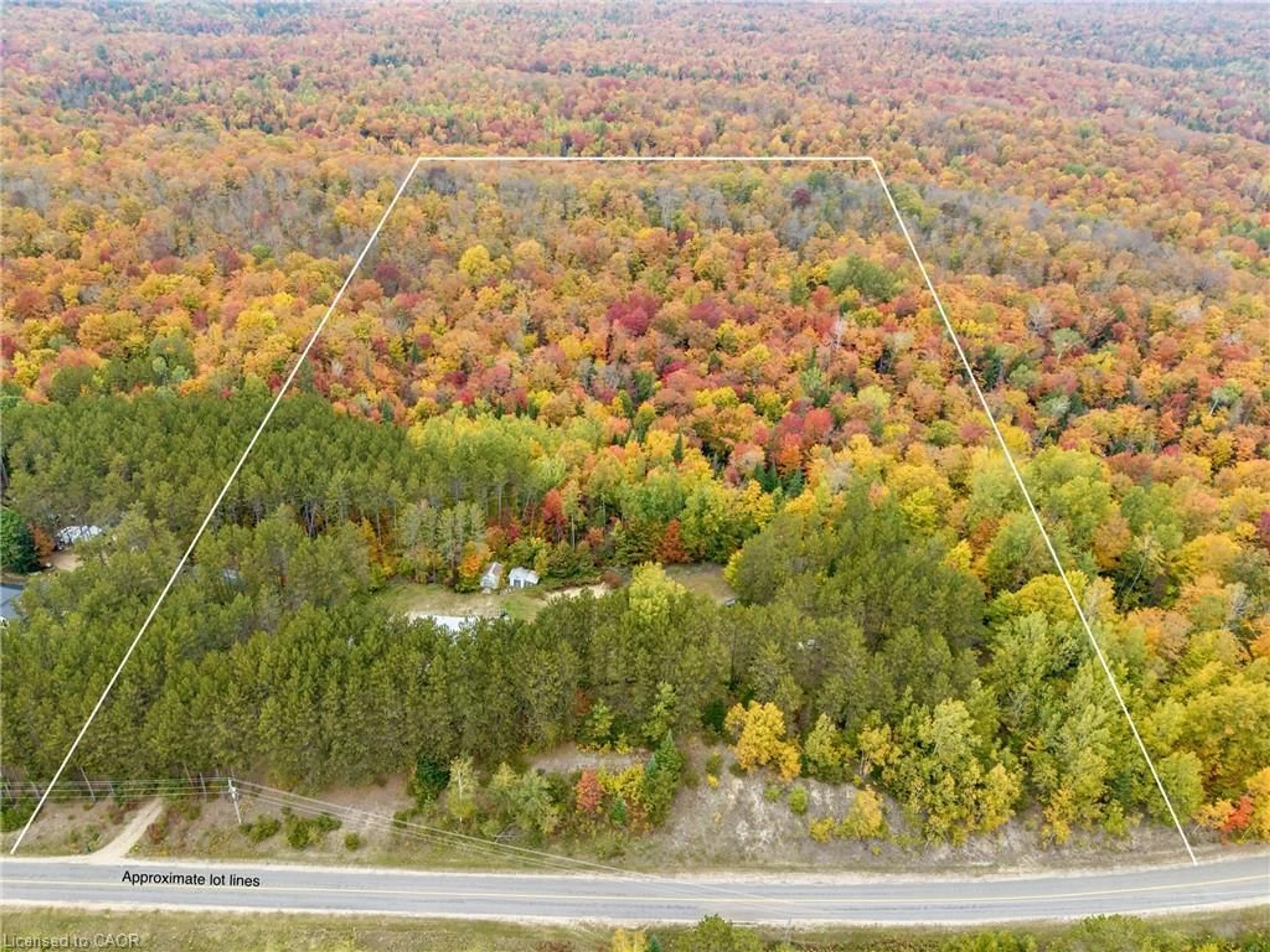 A pic from outside/outdoor area/front of a property/back of a property/a pic from drone, forest/trees view for 5073 Weslemkoon Lake Rd, Gilmour Ontario K0L 1W0