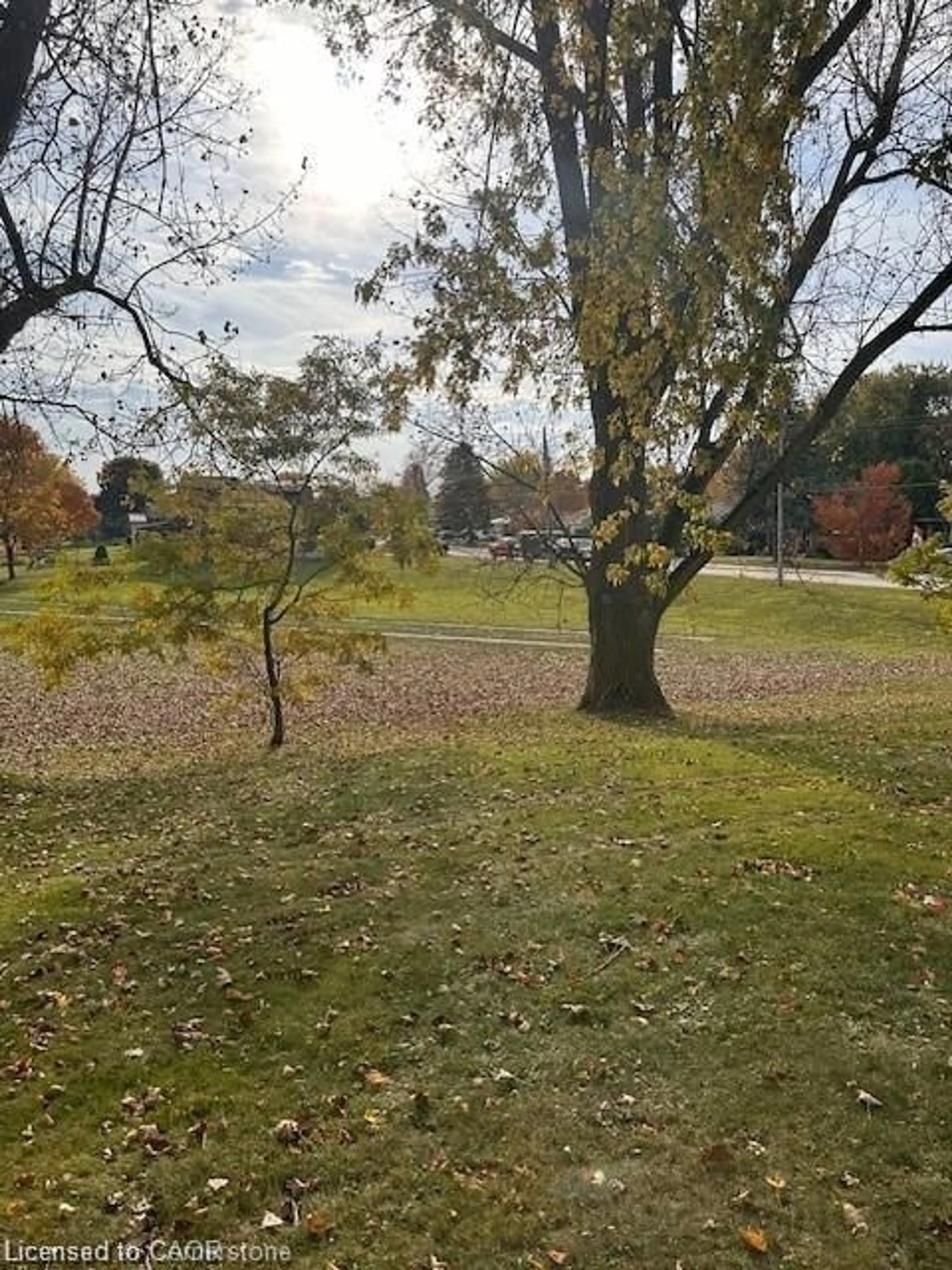 A pic from outside/outdoor area/front of a property/back of a property/a pic from drone, forest/trees view for 595 Raglan St, Palmerston Ontario N0G 2P0