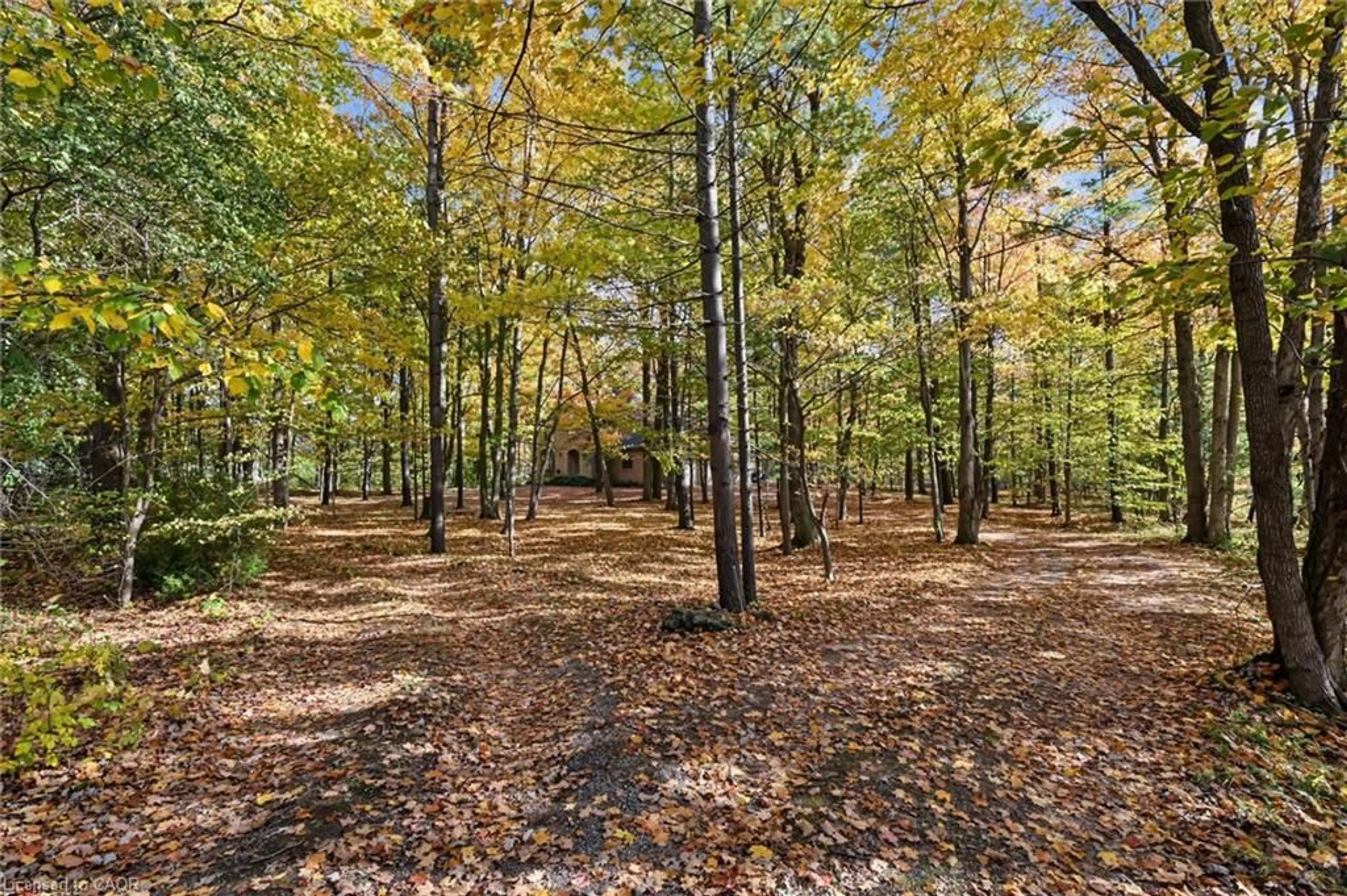 Patio, forest/trees view for 872 6th Conc Rd, Flamborough Ontario L8B 1M9