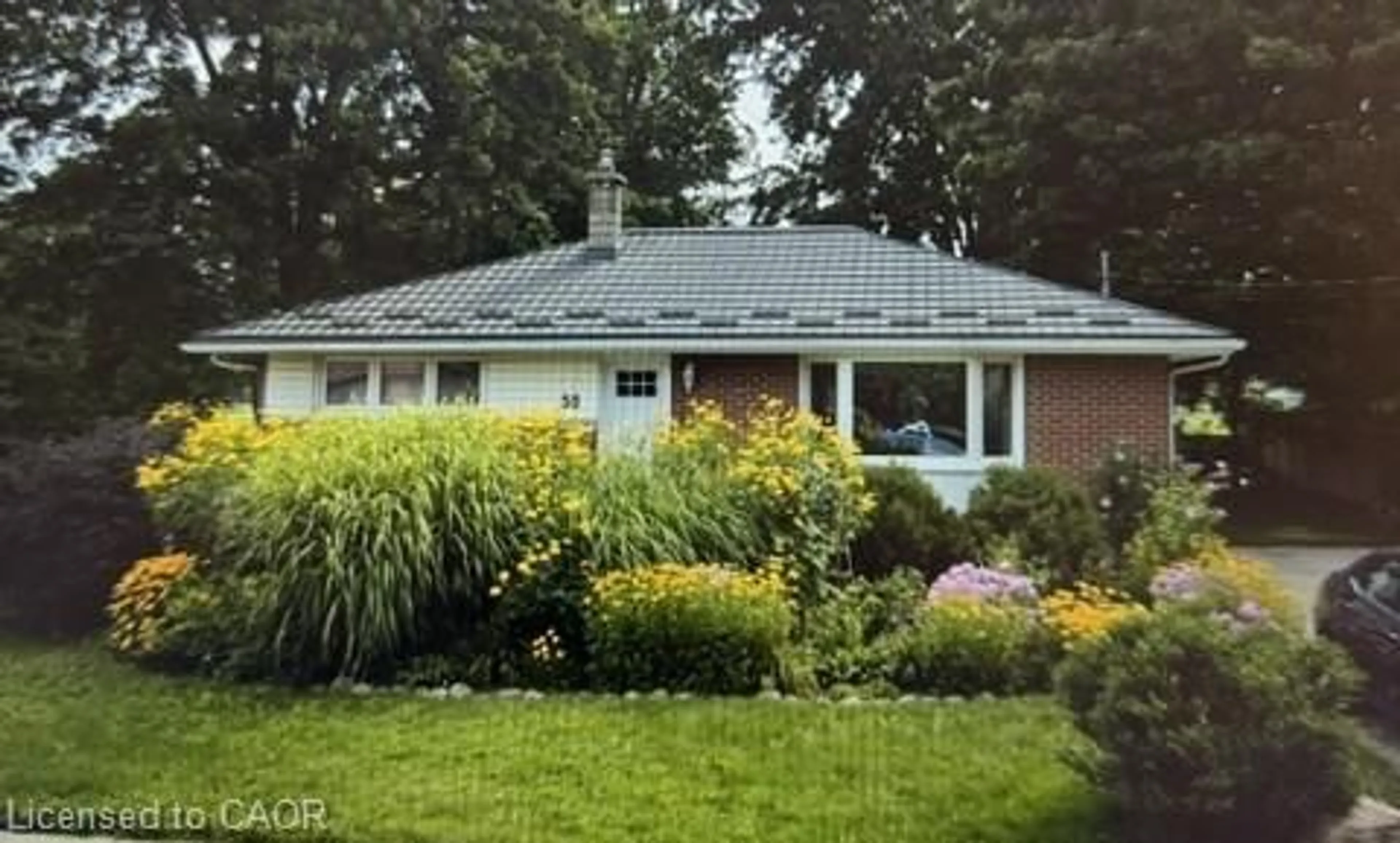 Home with vinyl exterior material, street for 51 William St, Plattsville Ontario N0J 1S0