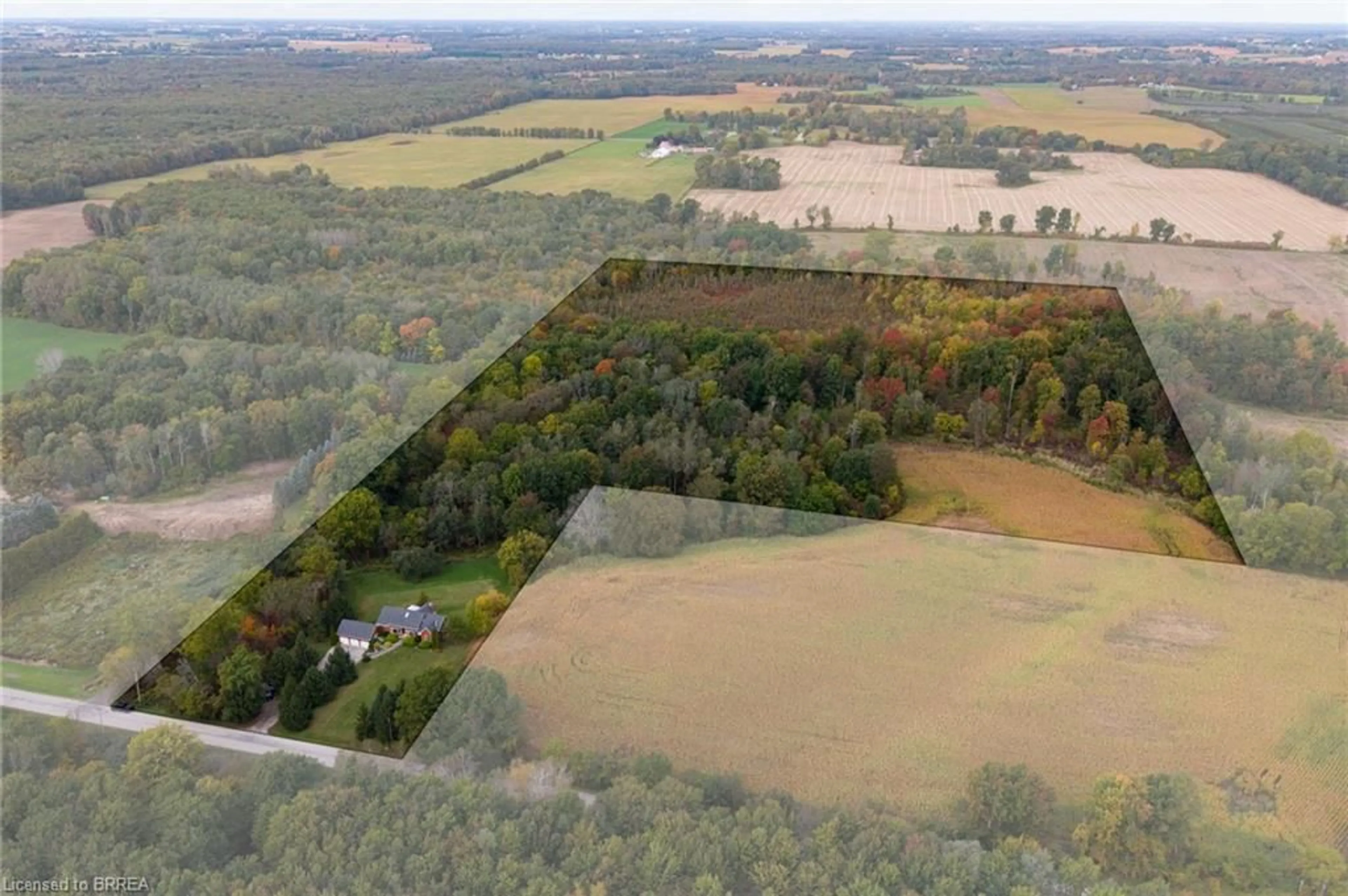 A pic from outside/outdoor area/front of a property/back of a property/a pic from drone, forest/trees view for 288 Thirteenth Concession Rd, Scotland Ontario N0E 1R0