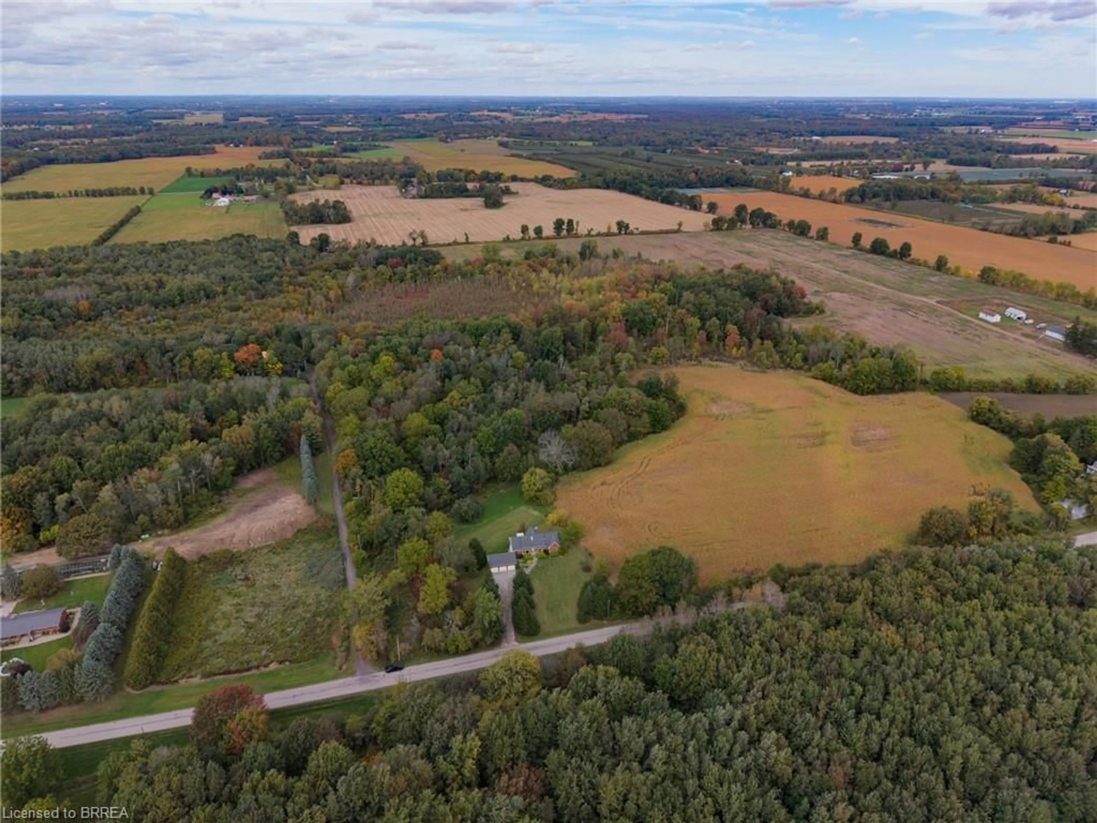 A pic from outside/outdoor area/front of a property/back of a property/a pic from drone, forest/trees view for 288 Thirteenth Concession Rd, Scotland Ontario N0E 1R0