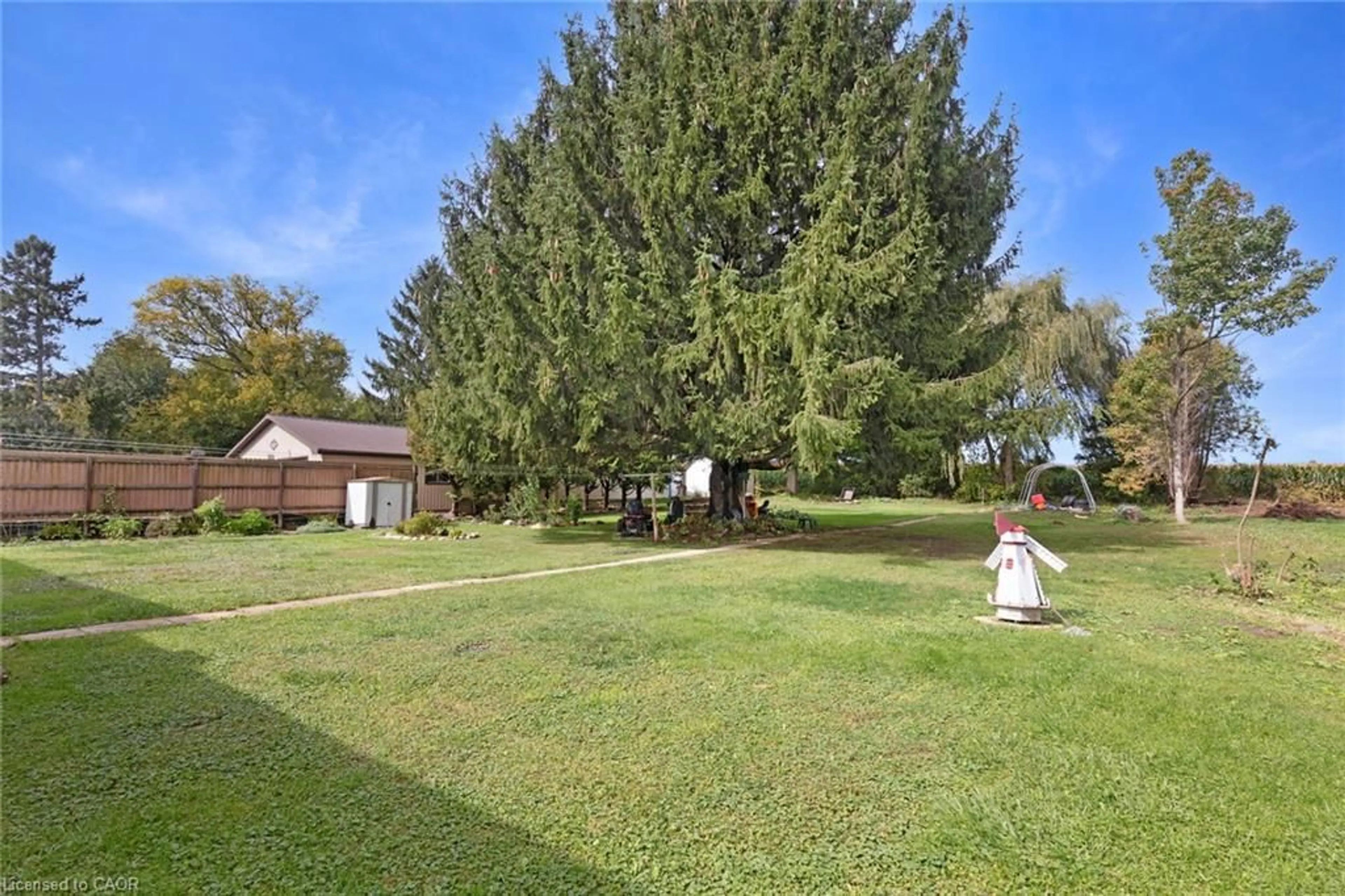 A pic from outside/outdoor area/front of a property/back of a property/a pic from drone, forest/trees view for 24 Alpha St, Delhi Ontario N4B 1B2