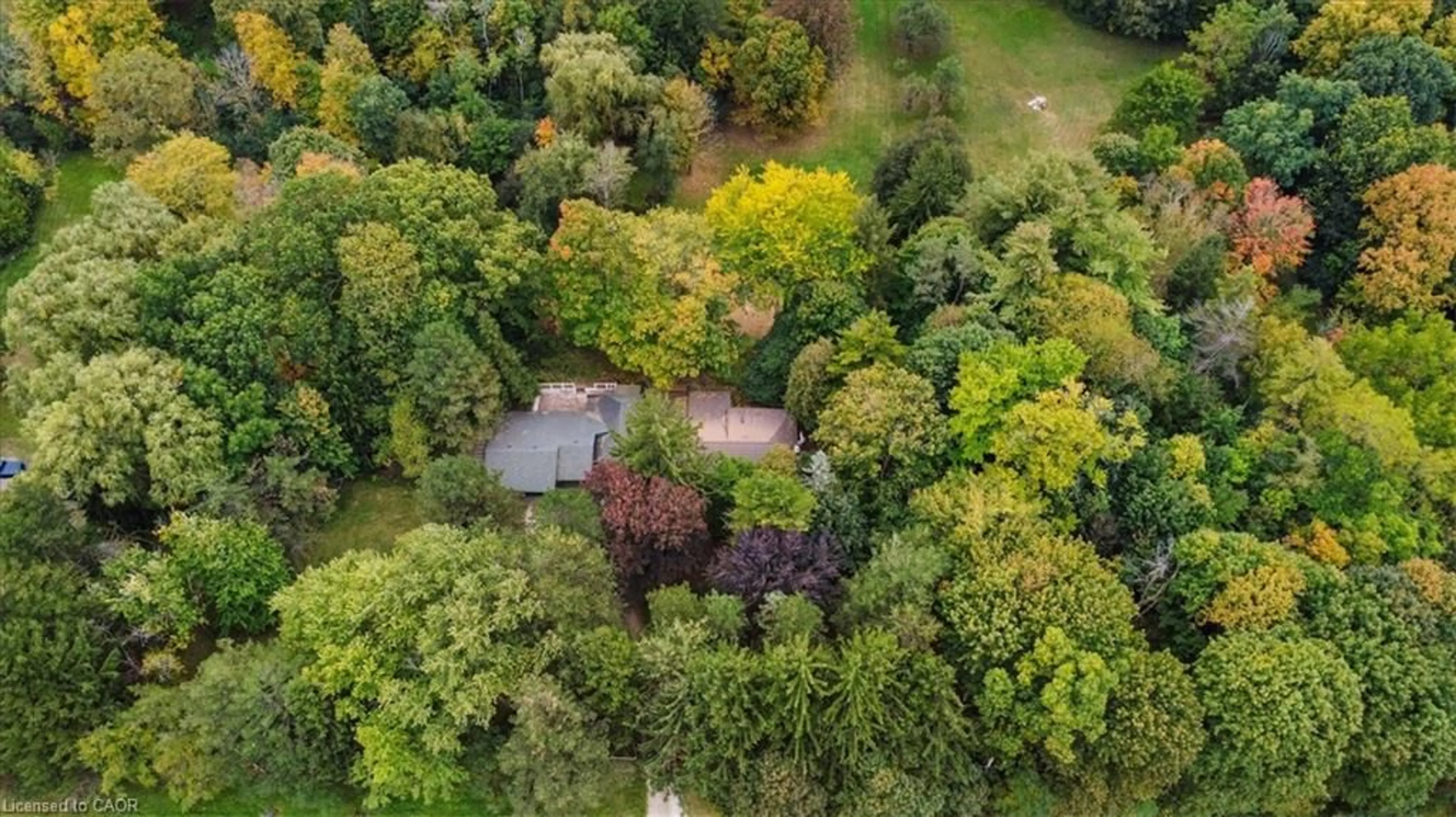 A pic from outside/outdoor area/front of a property/back of a property/a pic from drone, forest/trees view for 912 #5 Hwy, Flamborough Ontario L9H 5E2